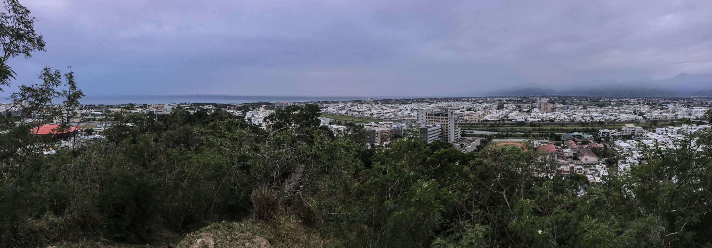 It was only 7am, the light was low, but not as low as the cloud.... Looks like rain.... Again!