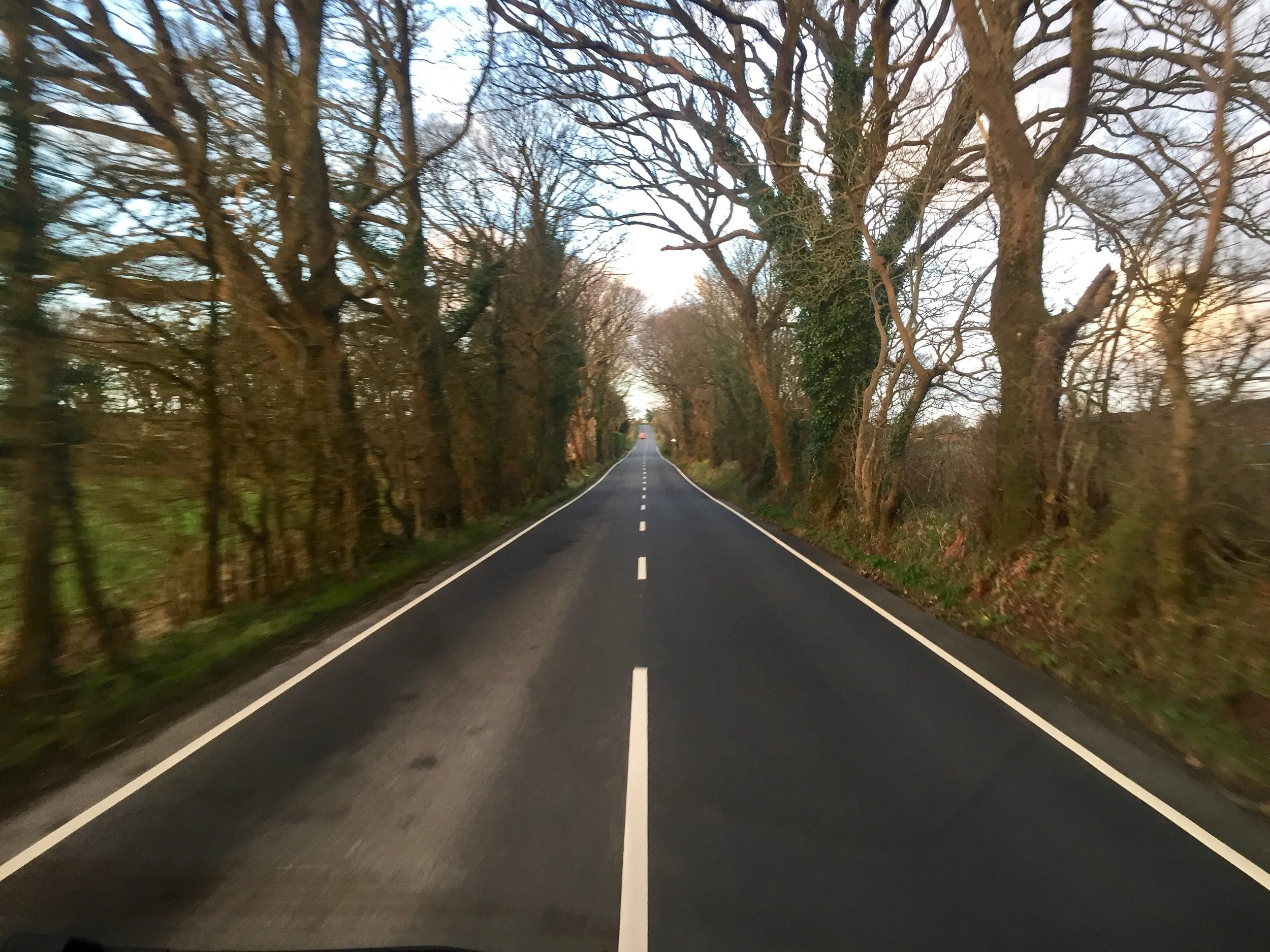The winter tree lined road home.....