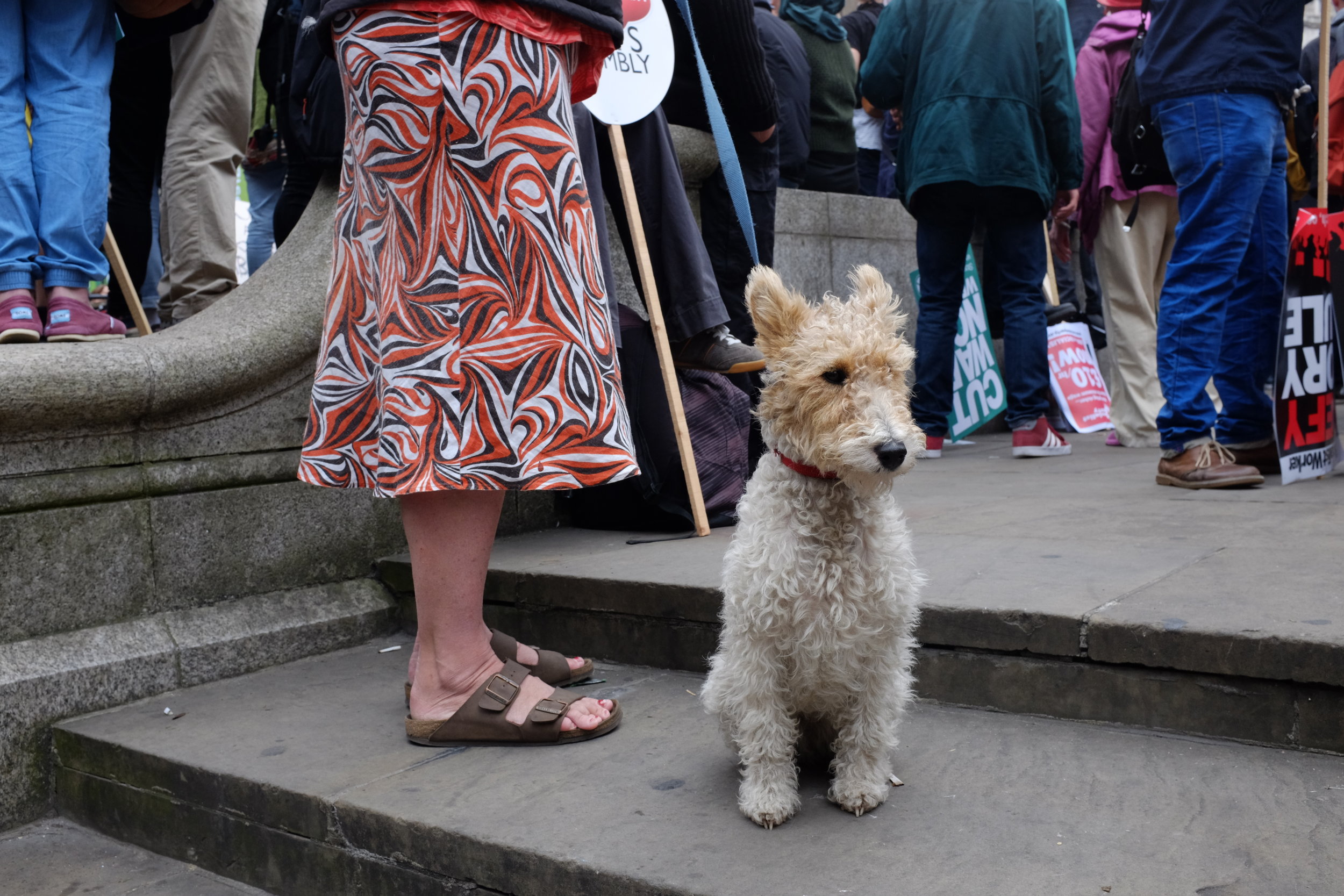 DSCF4580.JPG