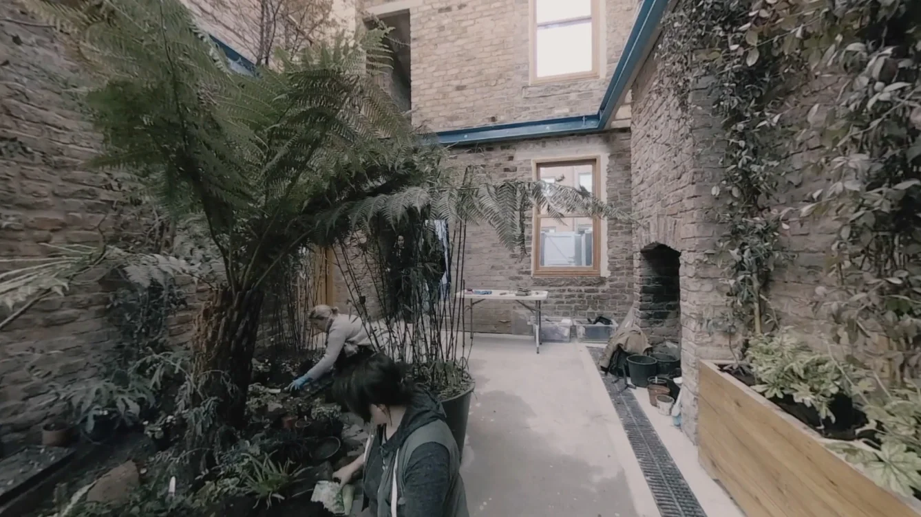 Inside winter garden 2.jpg