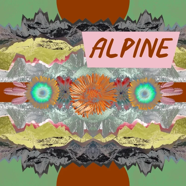alpineflowers+copy.jpg.webp
