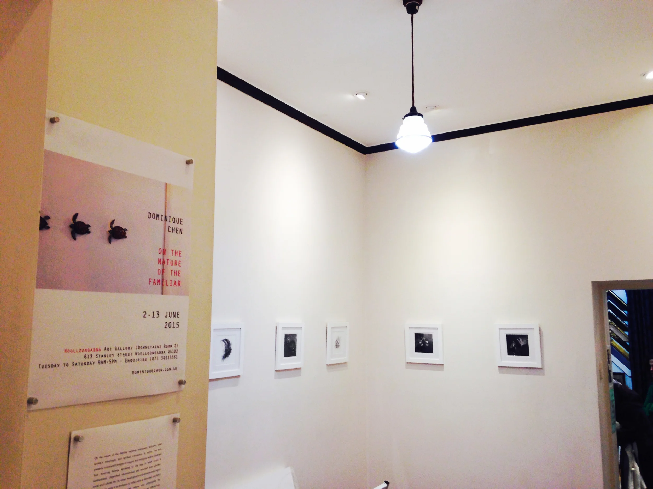 On the Nature of the Familiar Exhibition @ The Woolloongabba Art Gallery. June 2015.