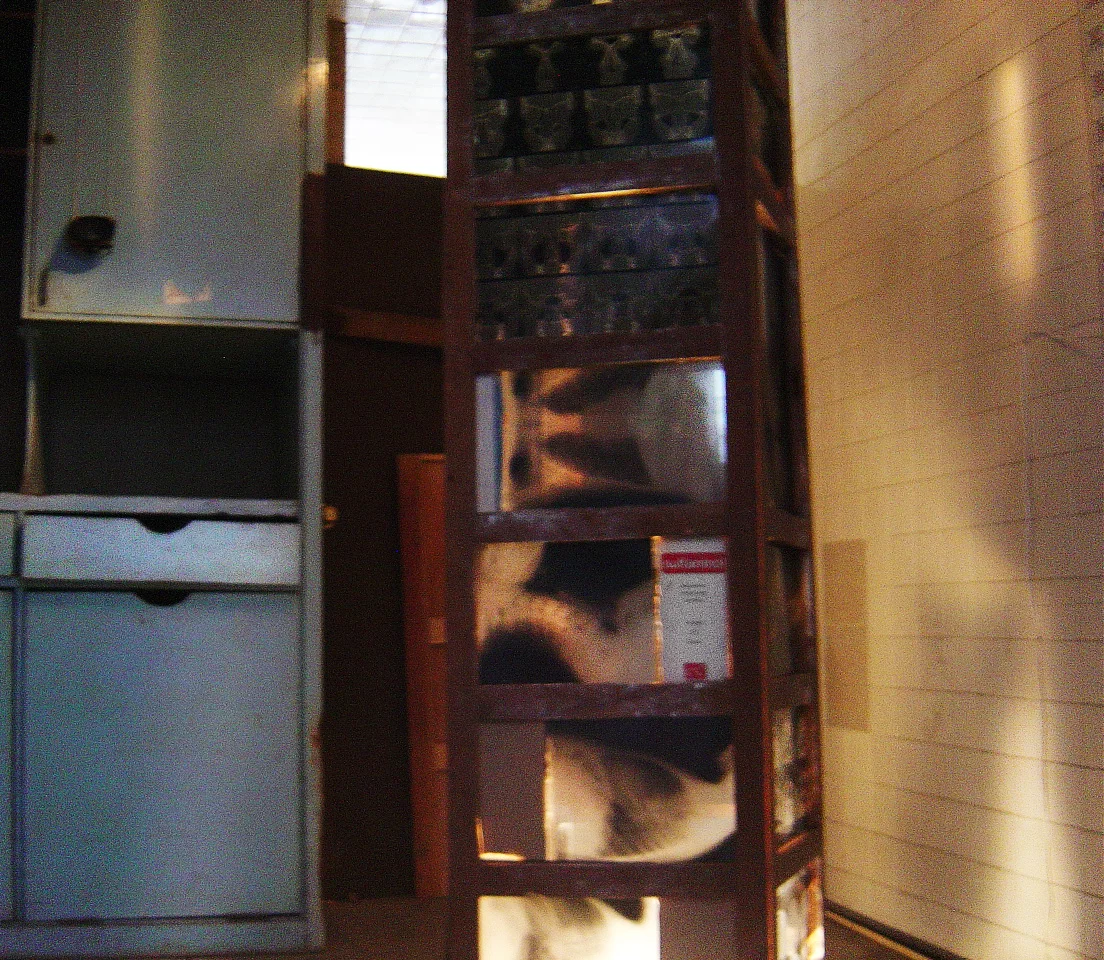8193894519_4f093692fb_o.jpg