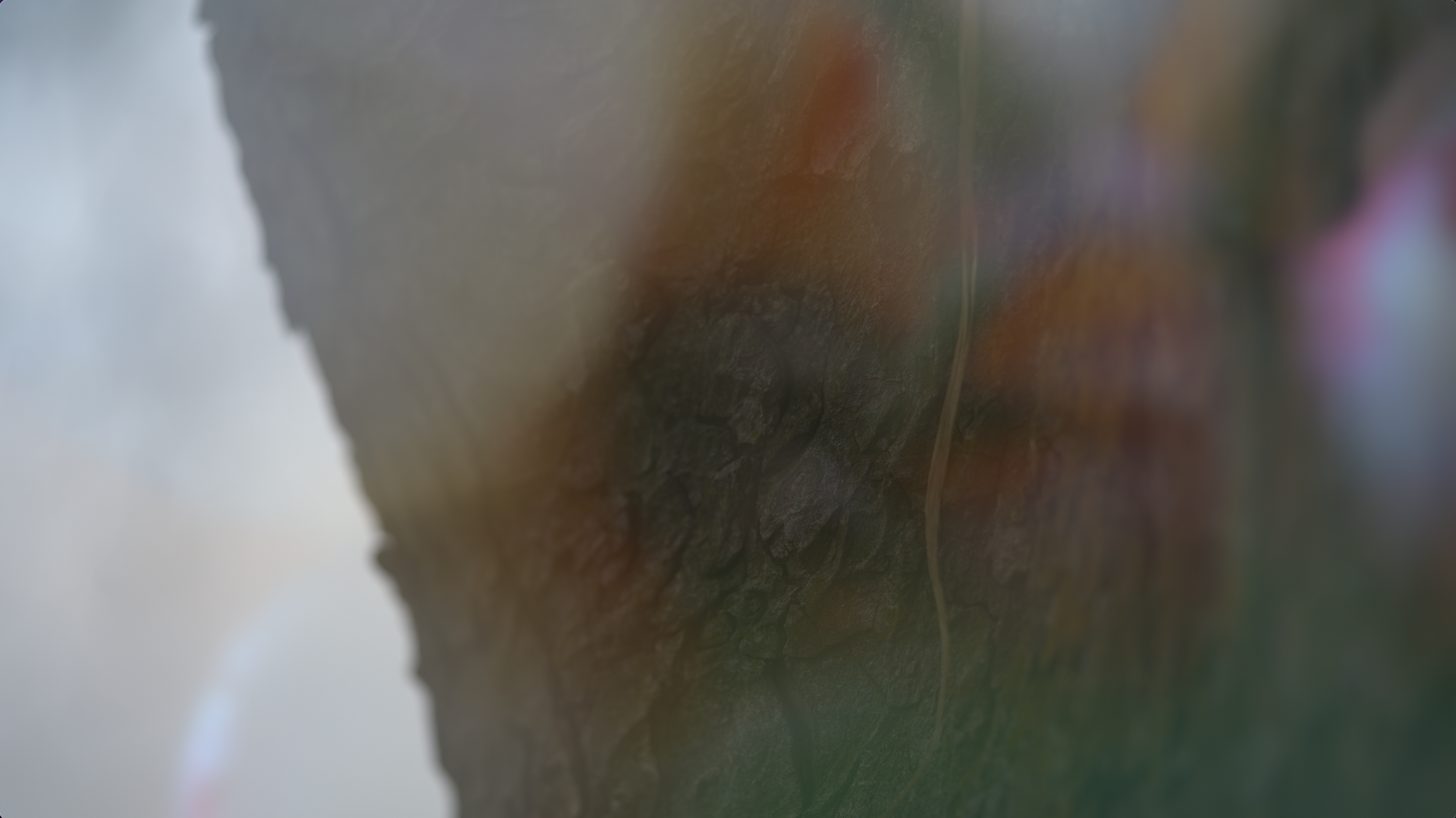 Screenshot 2022-01-29 at 08.47.29.png