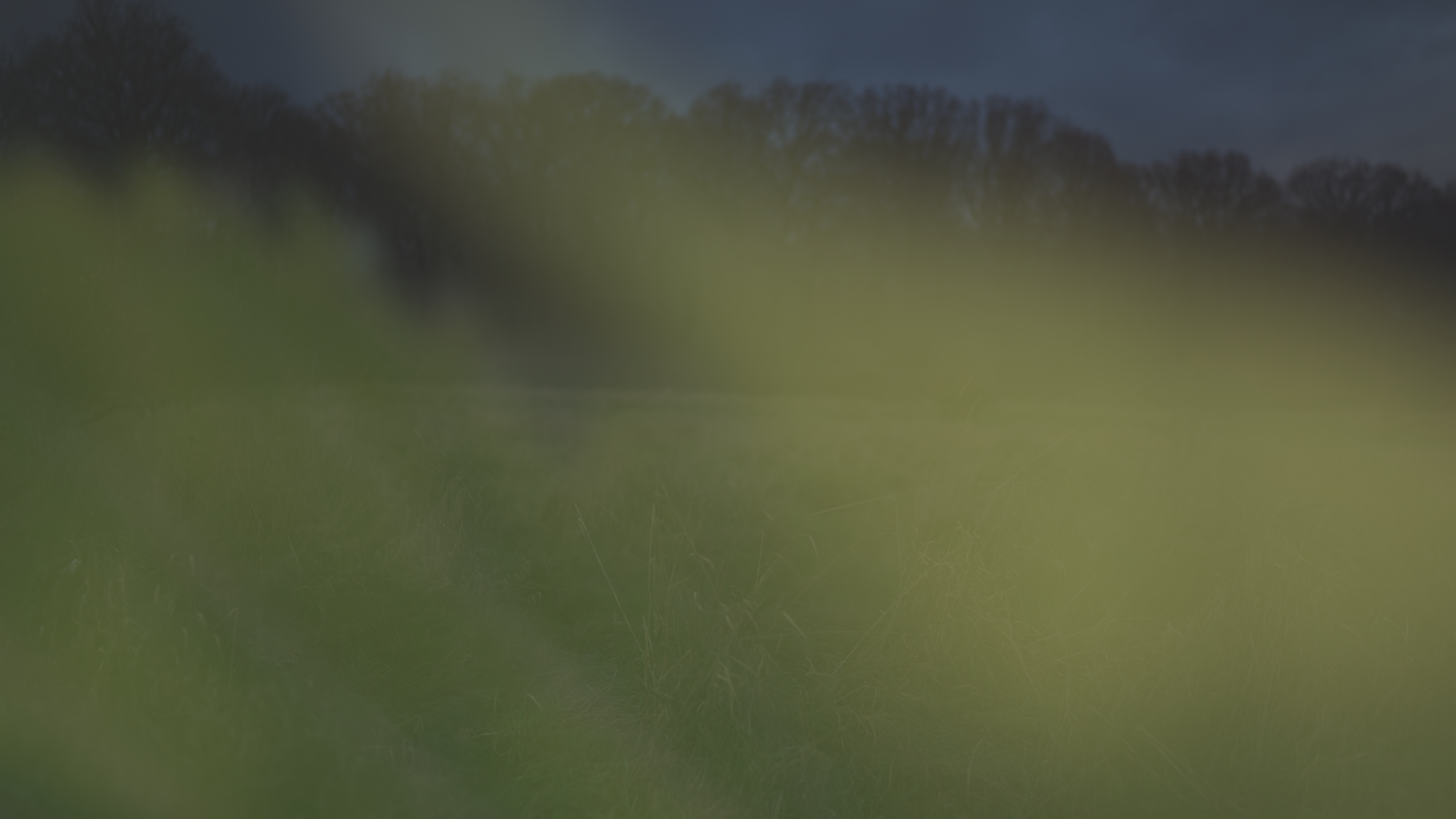 Screenshot 2022-02-19 at 08.02.26.png