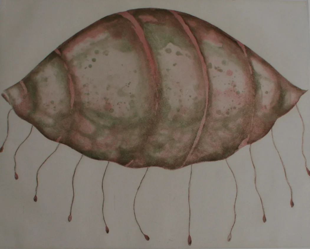  Elementos Marinos (caracola) 2004  Lavis / 44,50x46cm 