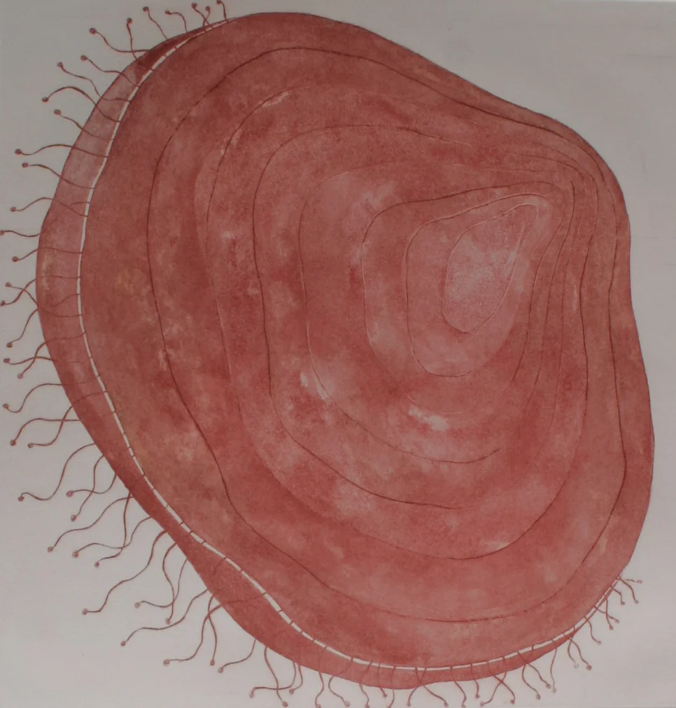  Elementos Marinos (concha) 2003  Lavis / 44x34,50cm 