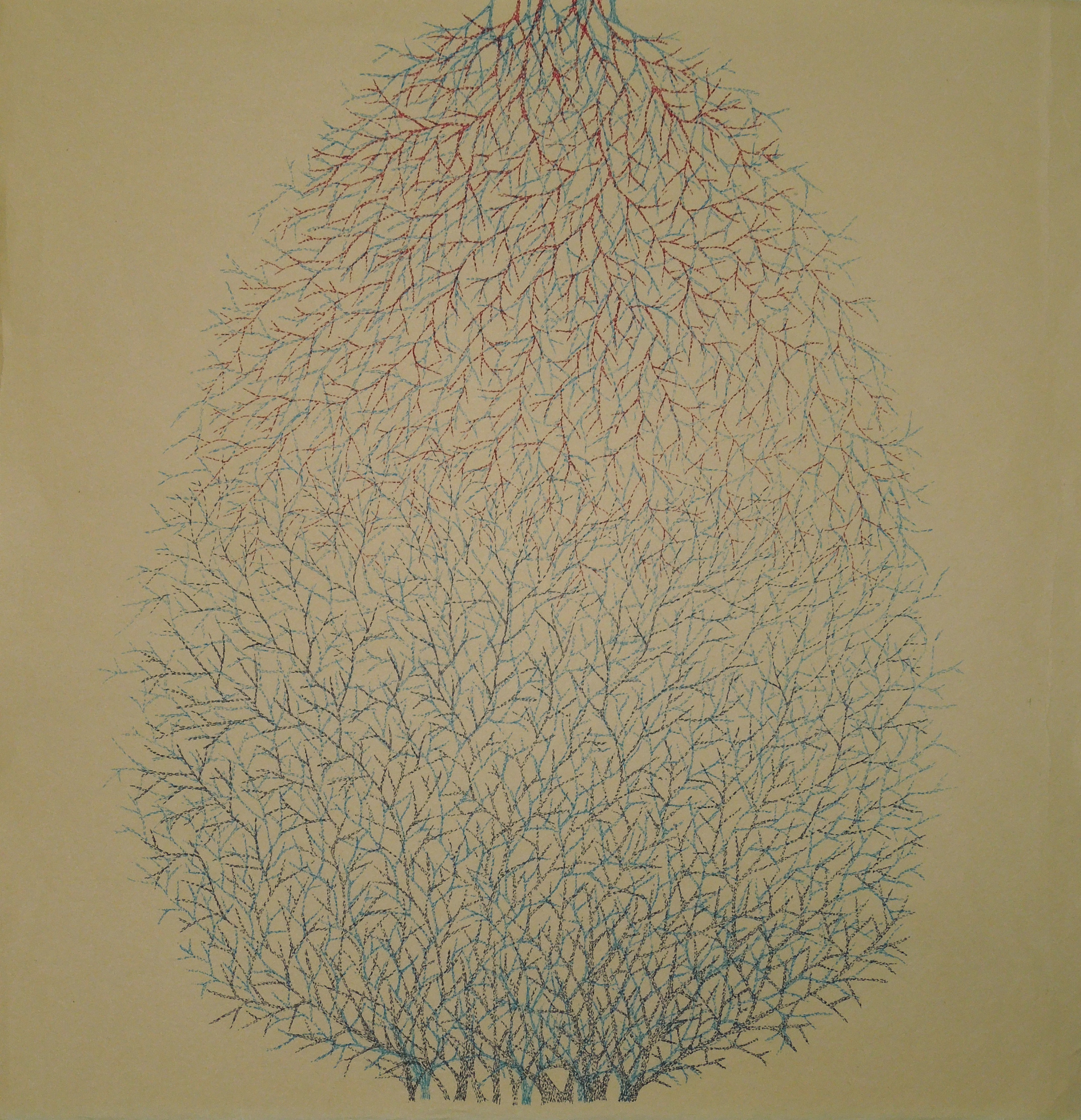  Anatomical branching 2012  Pen on Japanese paper / 65x62cm 