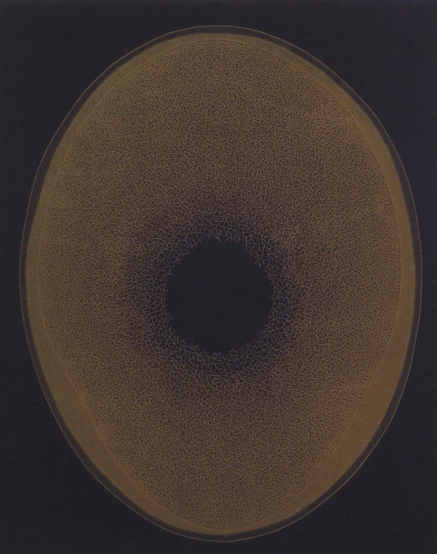  No title (azul-oro) 2007  Etching / 76x56cm 