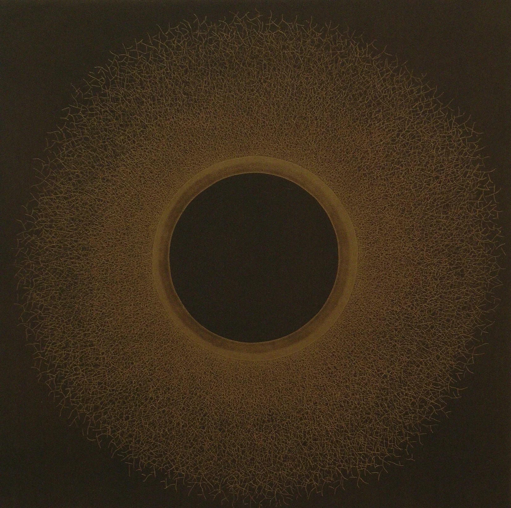  No title (sol) 2007  Etching / 78x65cm 