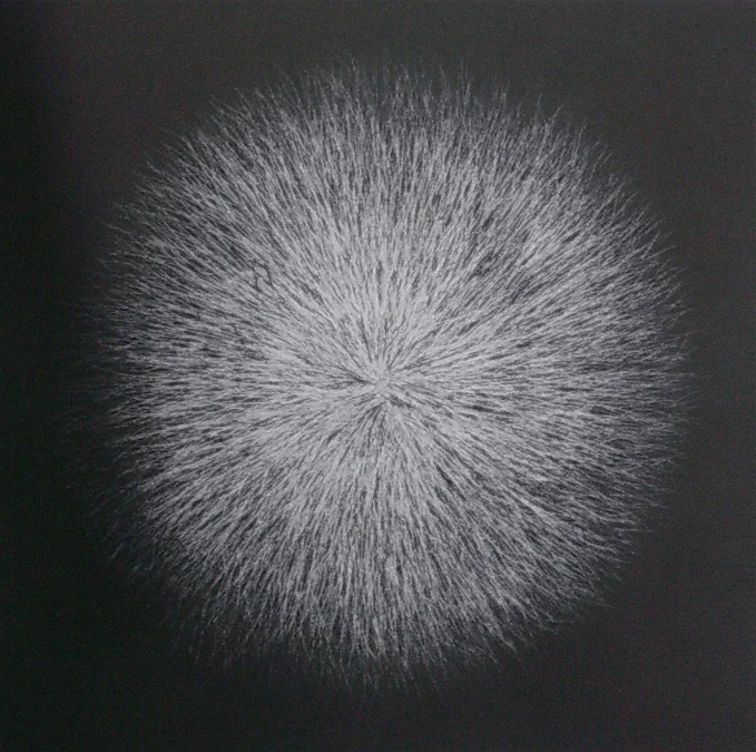 Magnético 2008  Mezzotint / 80x70cm 