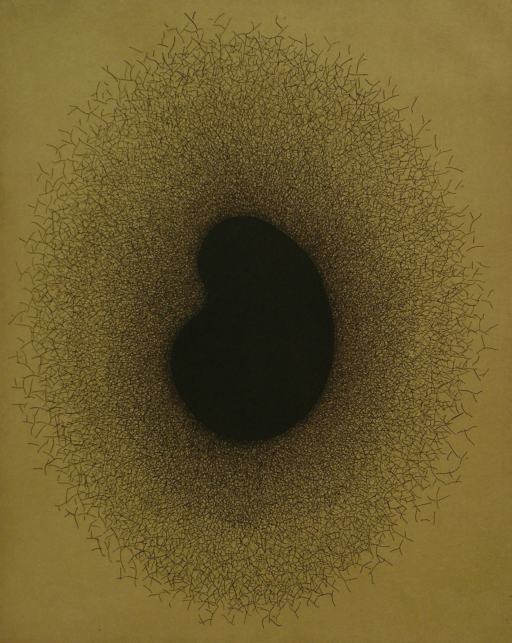  No title (semilla) 2007  Etching / 78x58,50cm 