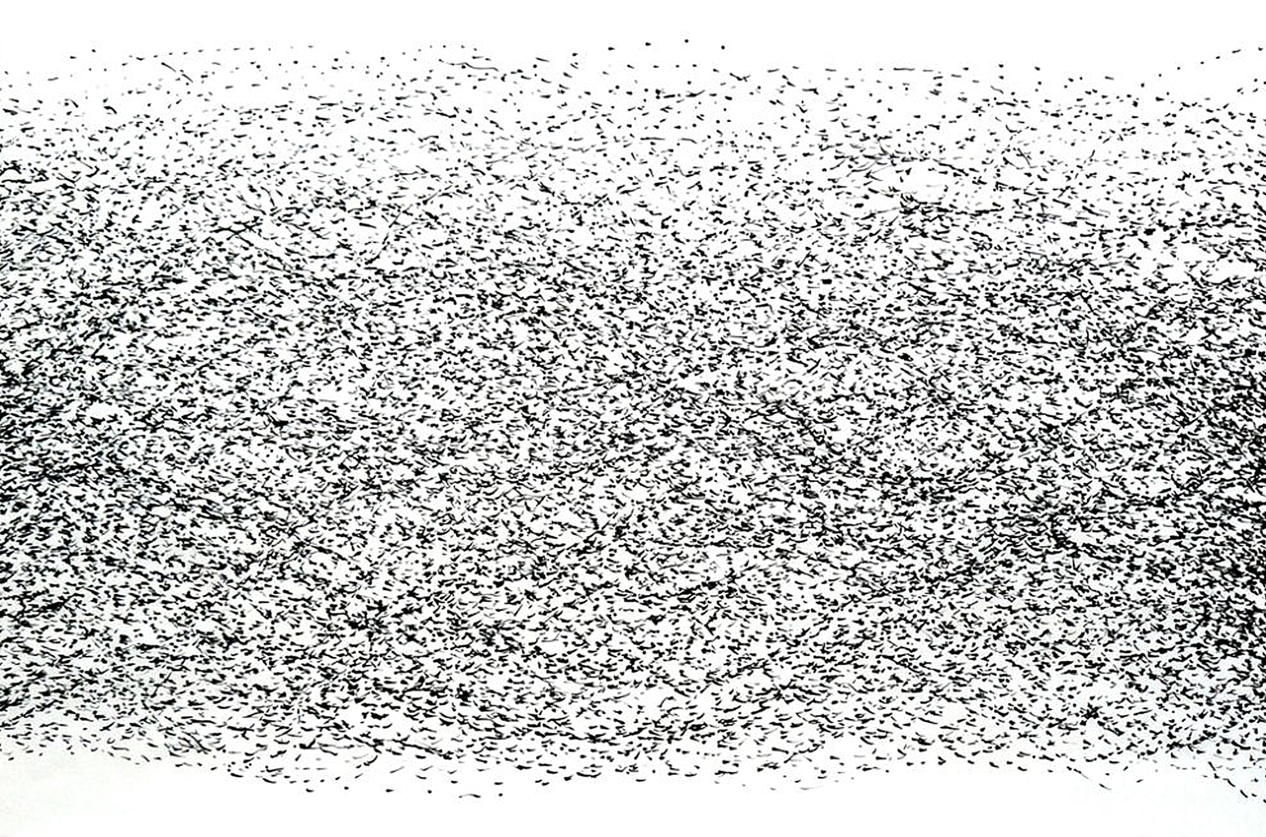  Migraciones 2010  Ink / 92x64cm 