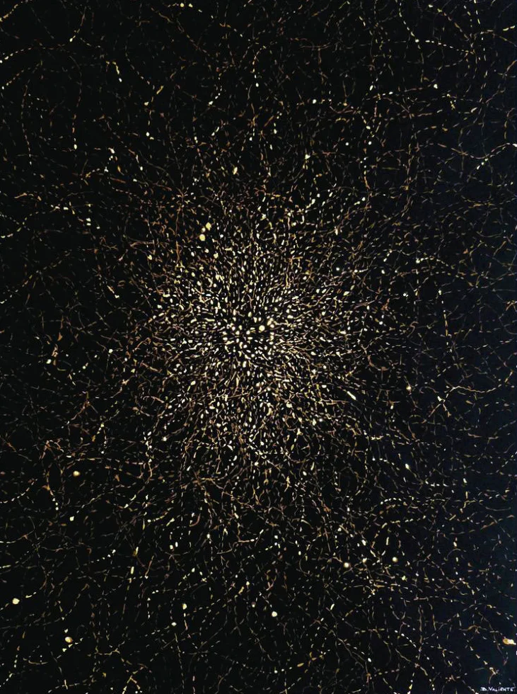  Estelas 2010  Bleach on paper / 102x79cm 