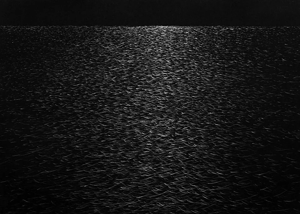  Espesura 2010  Pencil / 56x76cm 