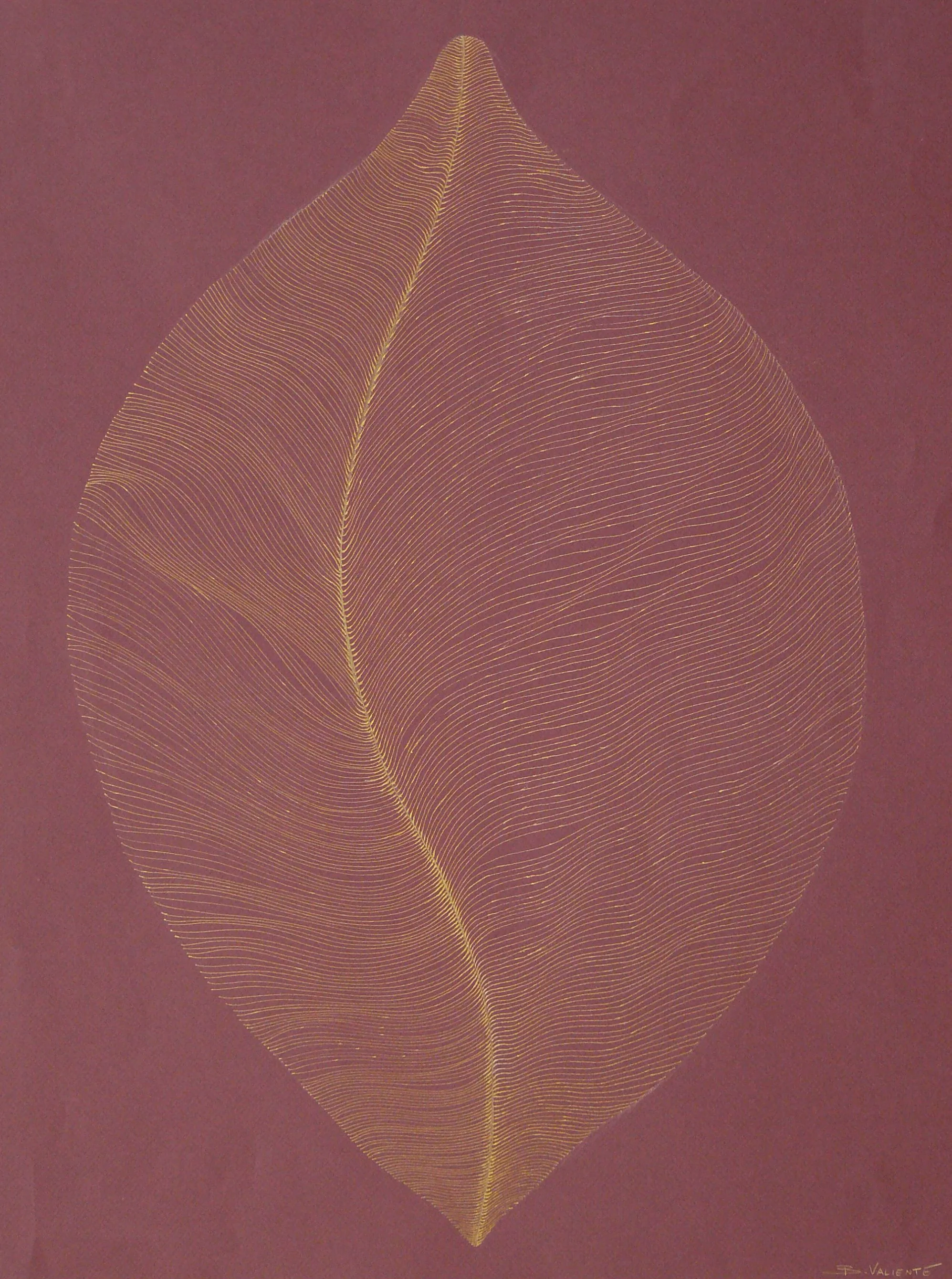  No title 2008  Pen / 65x50cm 