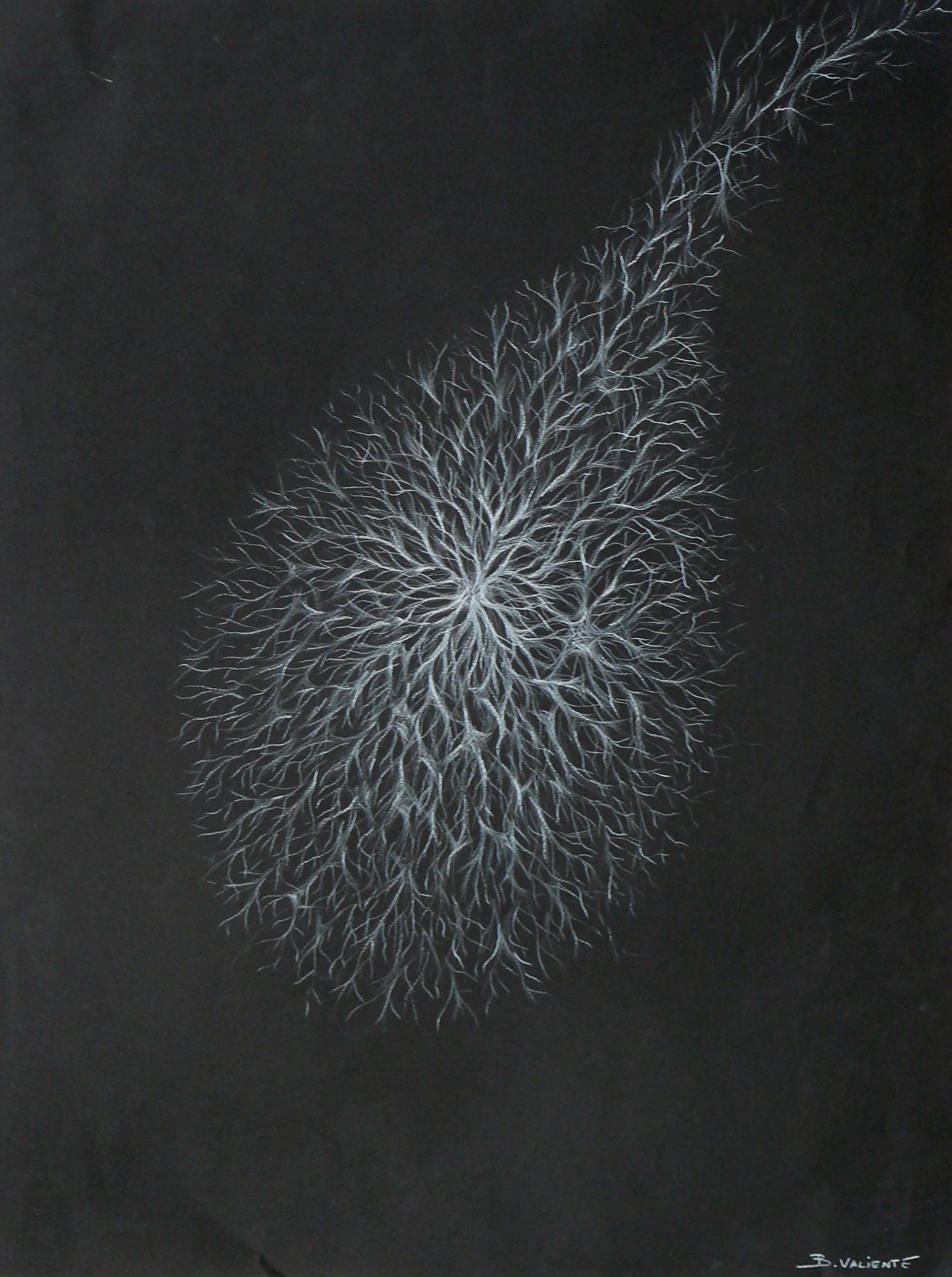  No title 2008  Pencil / 65x50cm 