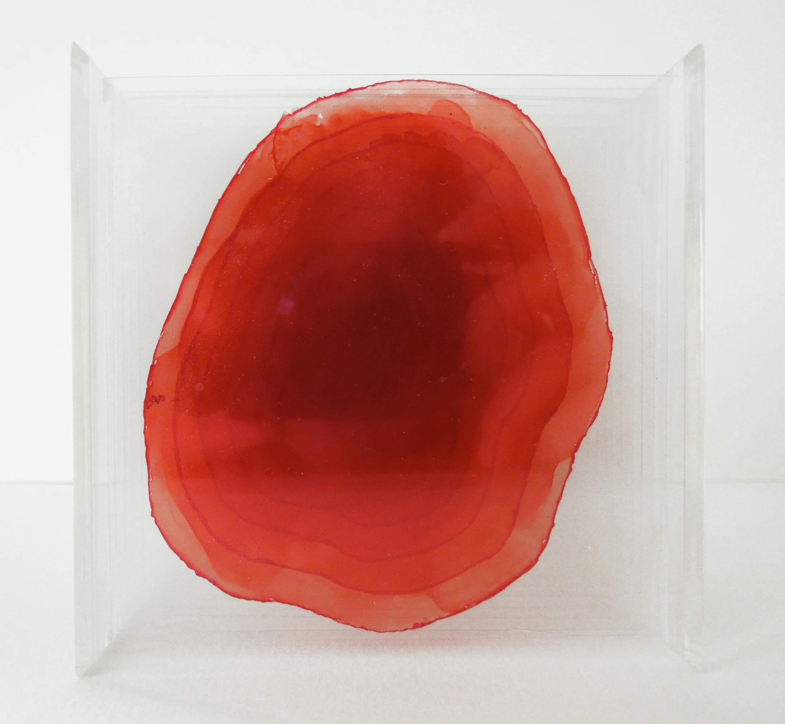  Micromundo III 2010  Mixed media in perspex box / 10x10x10cm 