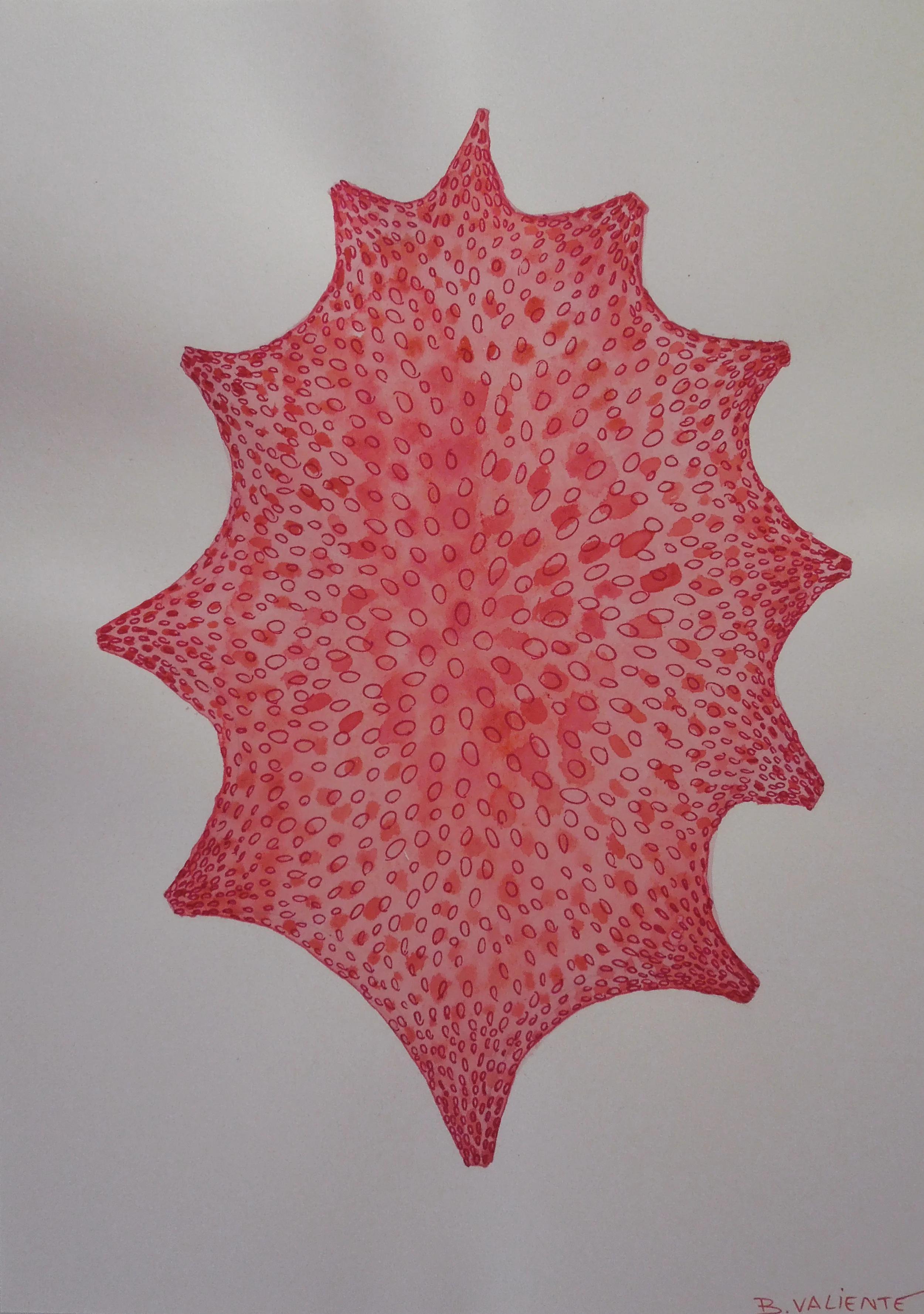  Cells evolution II 2014  Mixed media on paper / 30x21cm 
