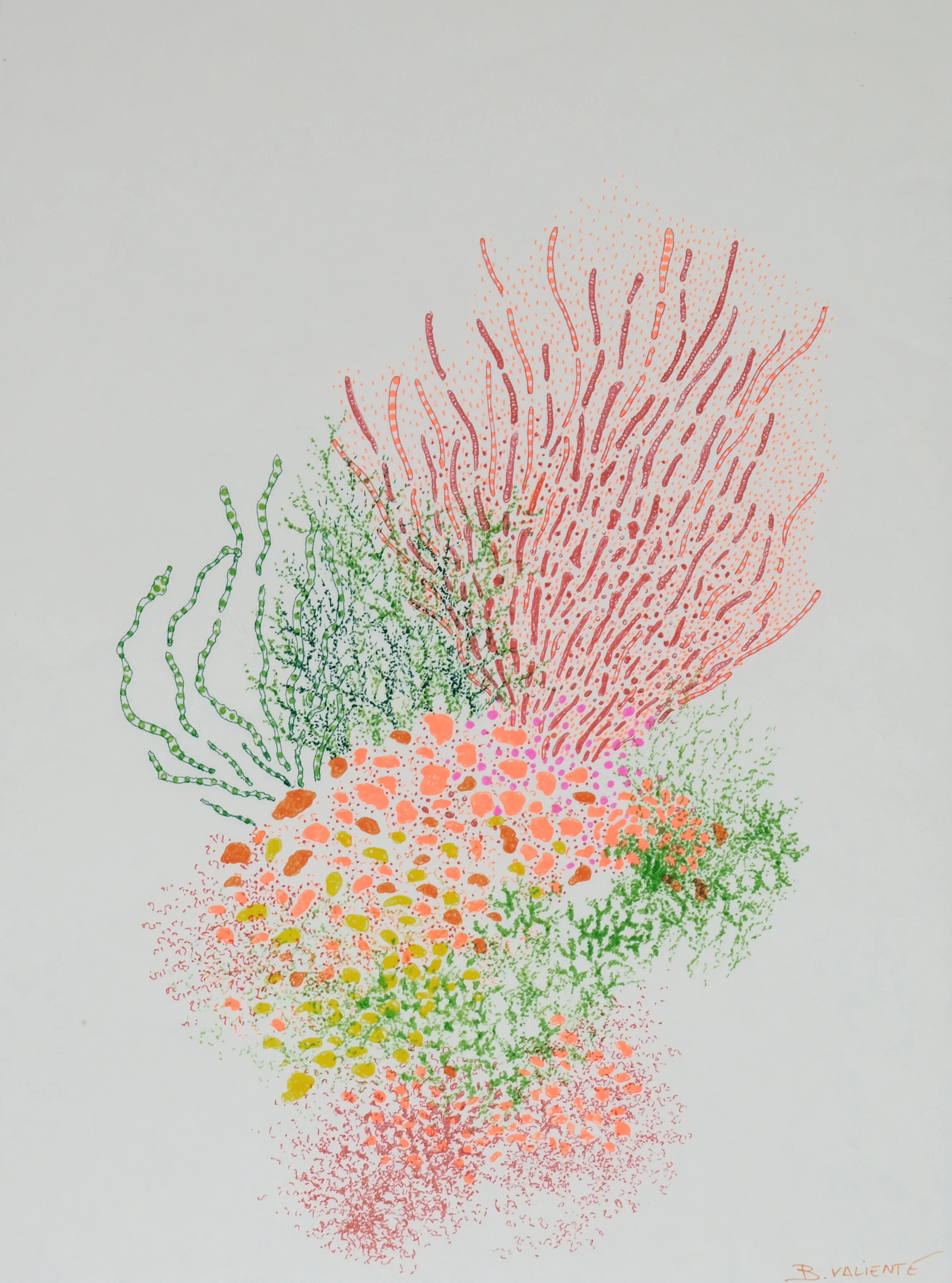  Coral I 2019  Pen on Japanese paper / 33x24,50 cm 