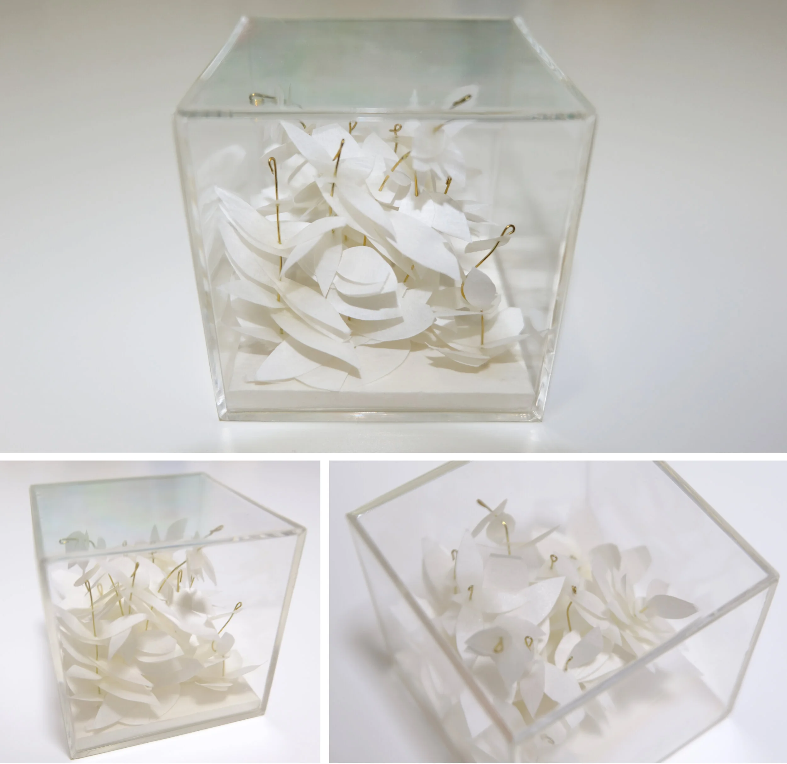 Micromundo VII 2014  Mixed media in perspex box / 7x7x7cm 
