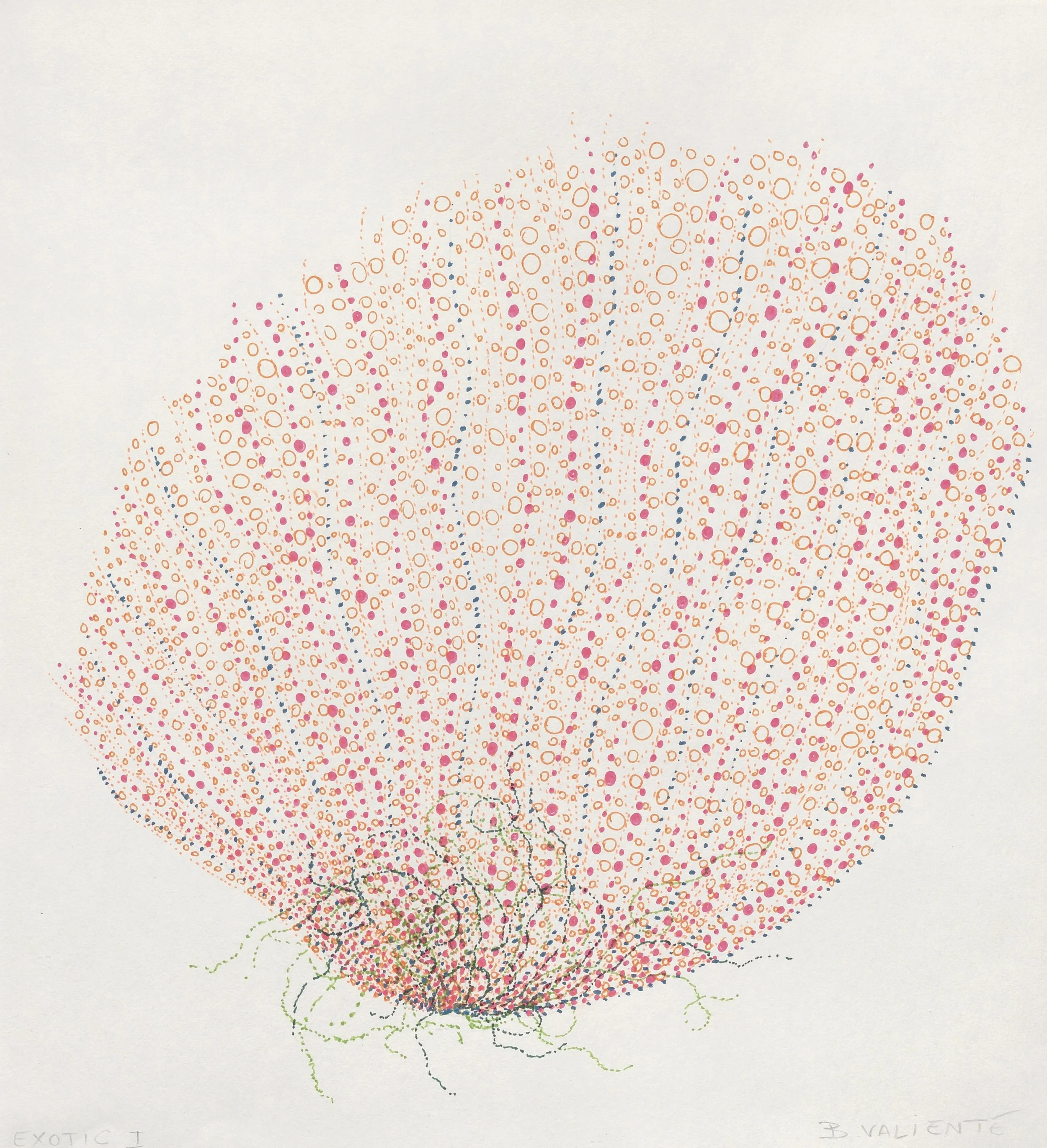  Exotic I 2020  Pen on paper / 24x22 cm 