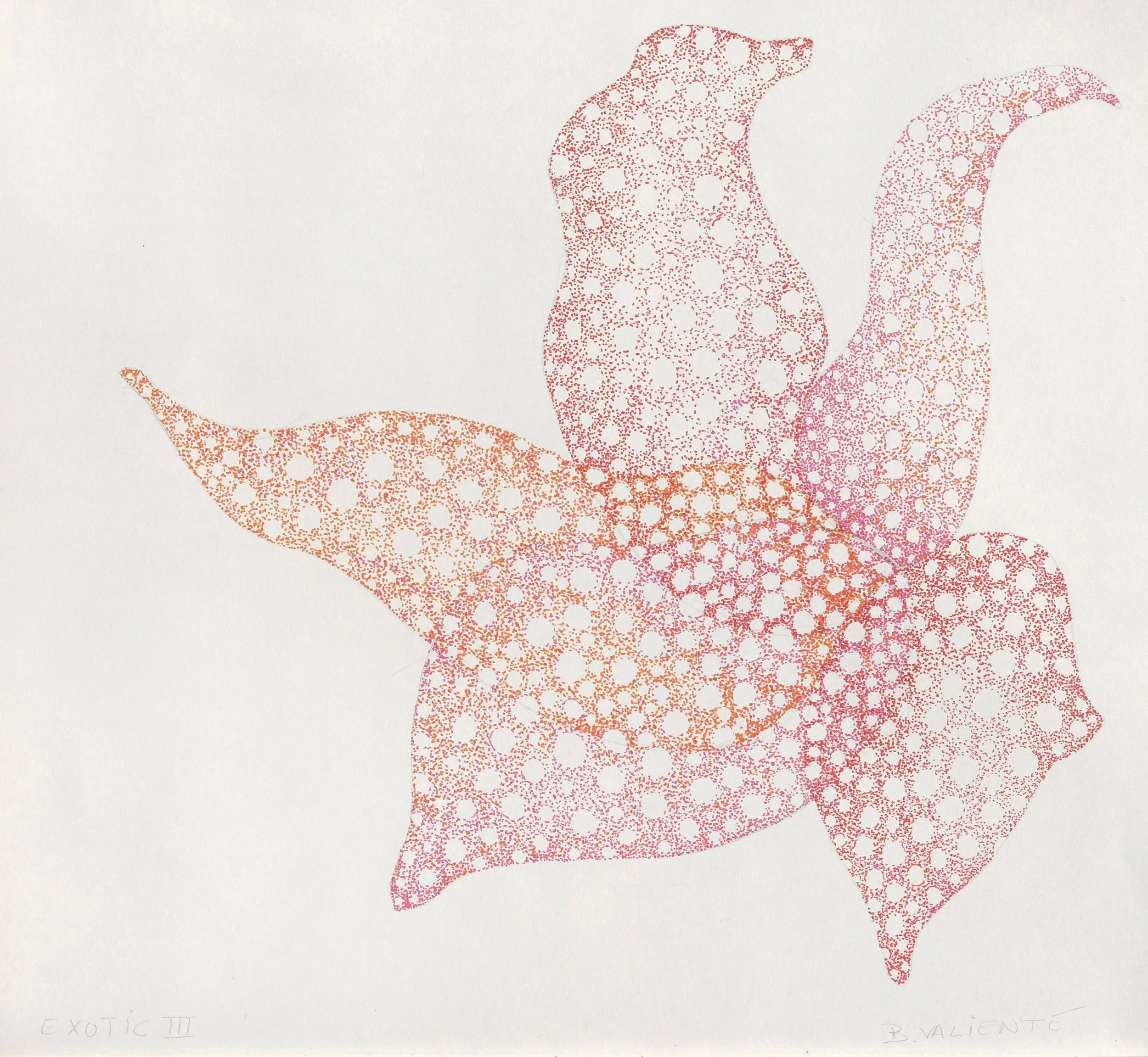  Exotic III 2020  Pen on paper / 22x24 cm 