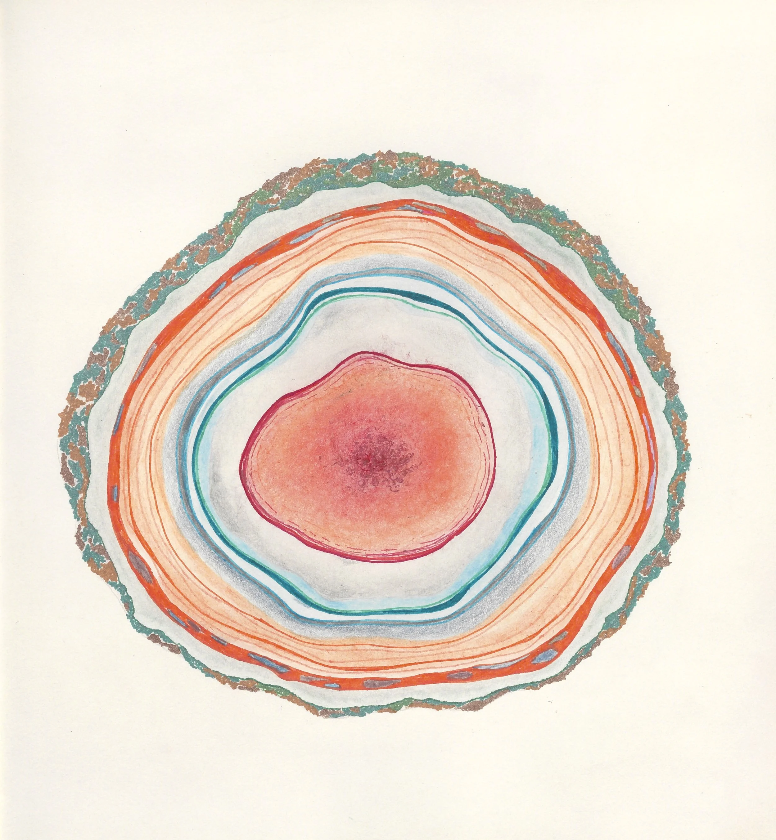  Little treasure 9 2024  Pencil and pen on paper / 24x22 cm 