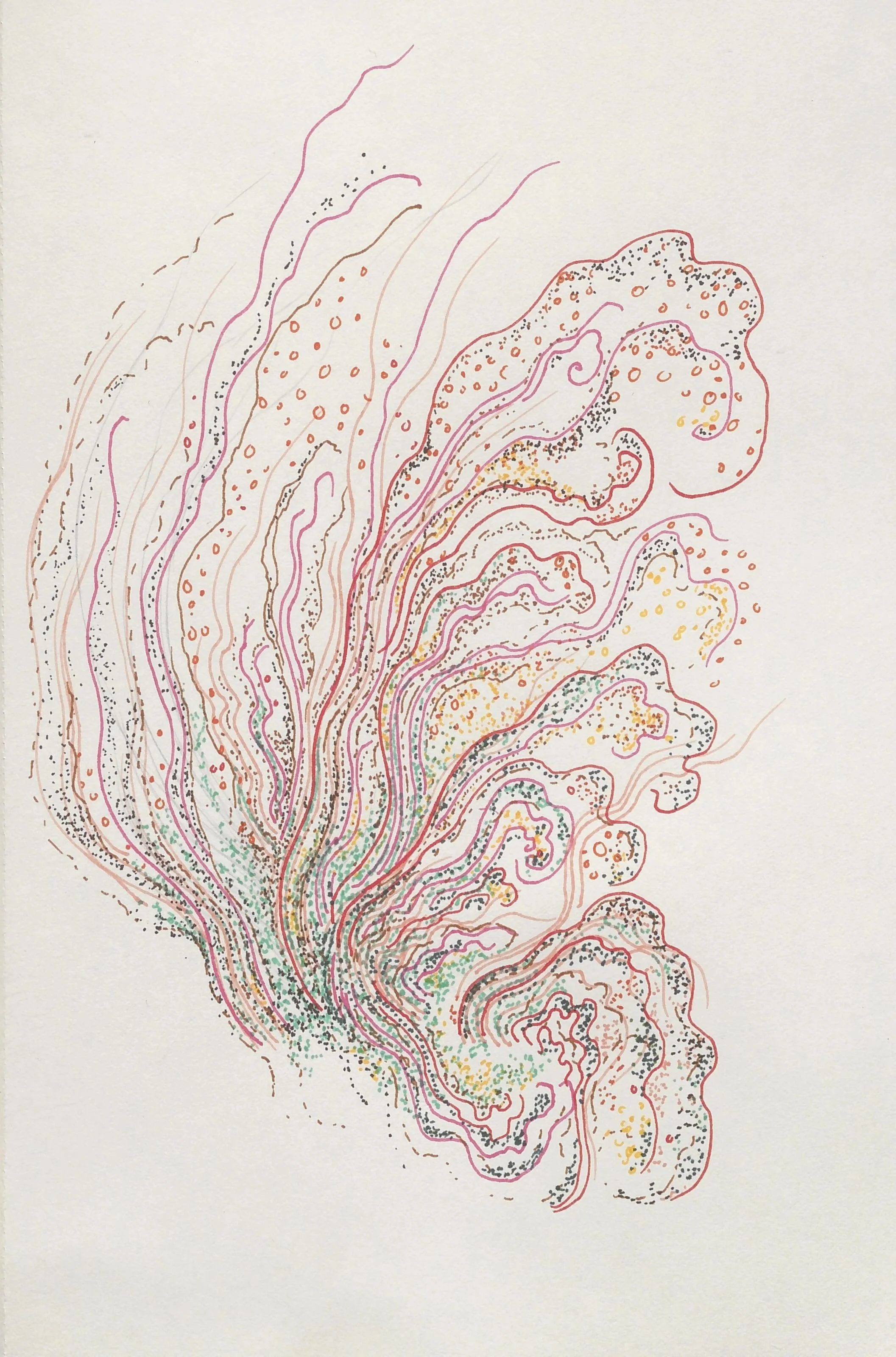  Coral III 2024  Pencil and pen on paper / 14x21 cm 