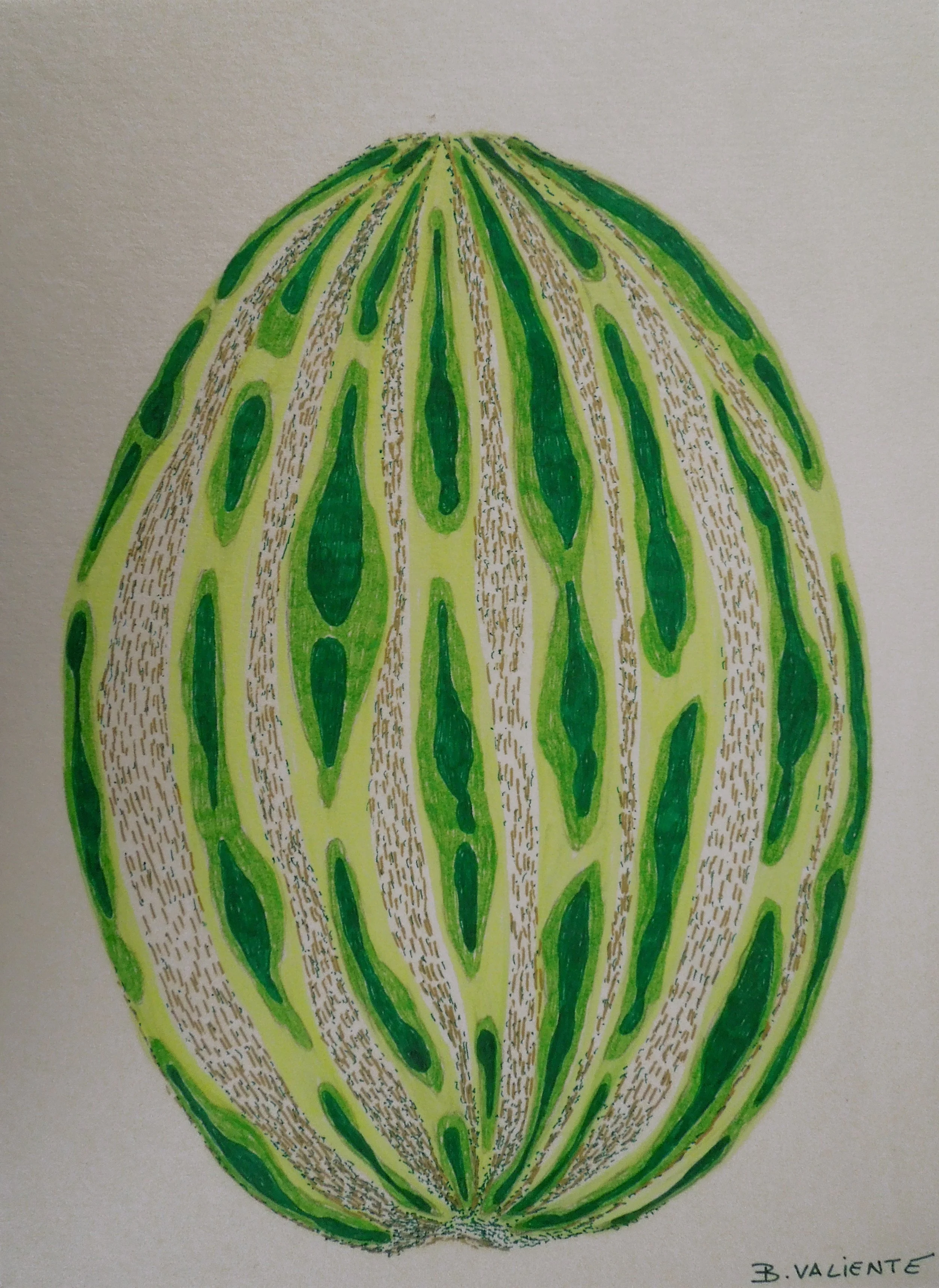  Botanical anatomy II 2014  Pen on card / 21x15,50cm 