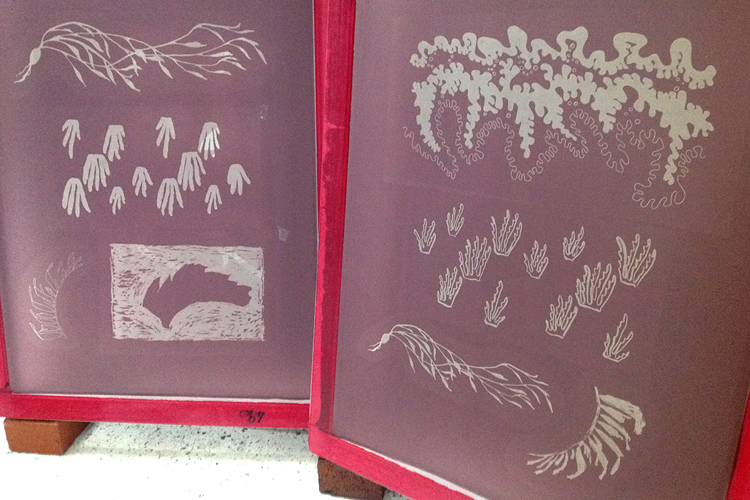 Screens with my images burned onto them, ready for printing.
