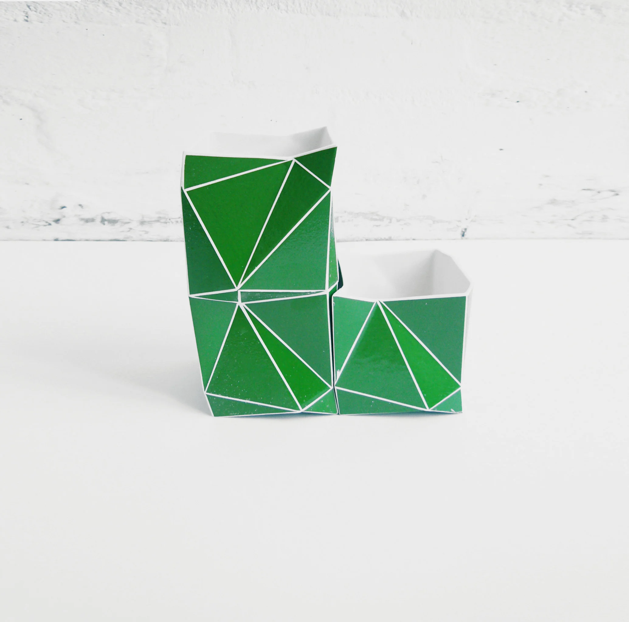 C.Flammarion-green-front2 copie.jpg