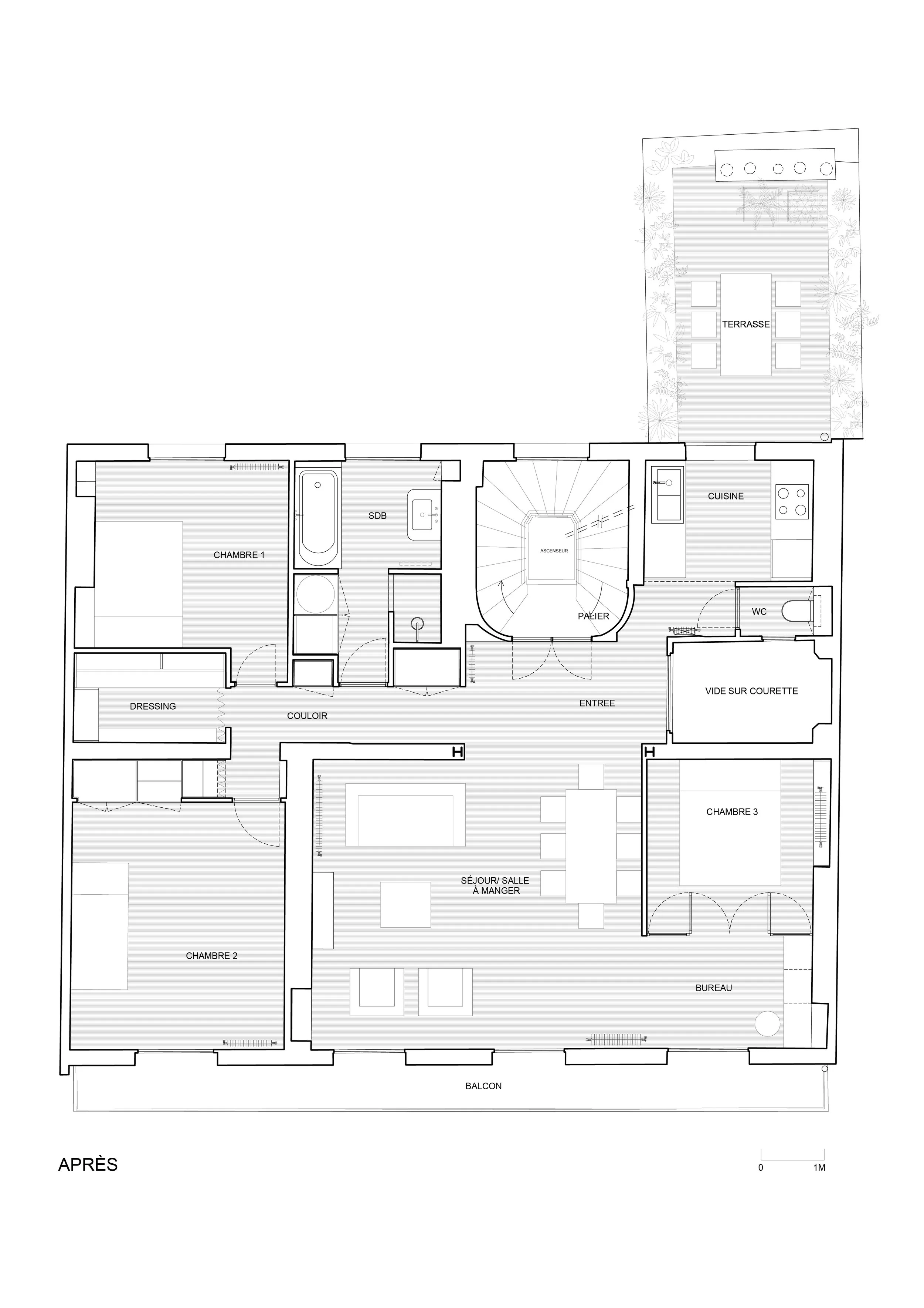 CAMILLEFLAMMARION-AVANT APRES- BERTHOLET .jpg