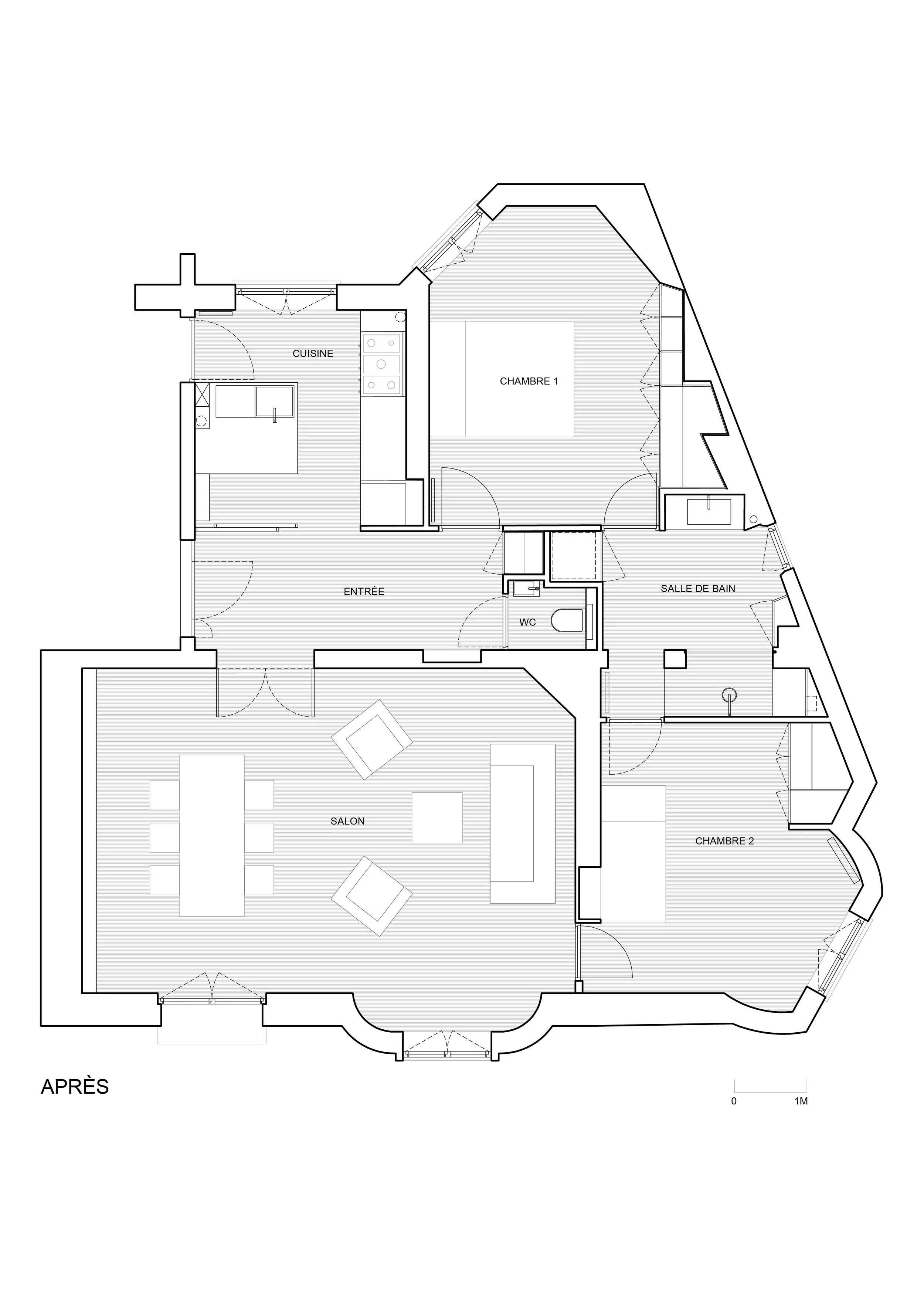 CAMILLEFLAMMARION-AVANT APRES- DAMREMONT .jpg