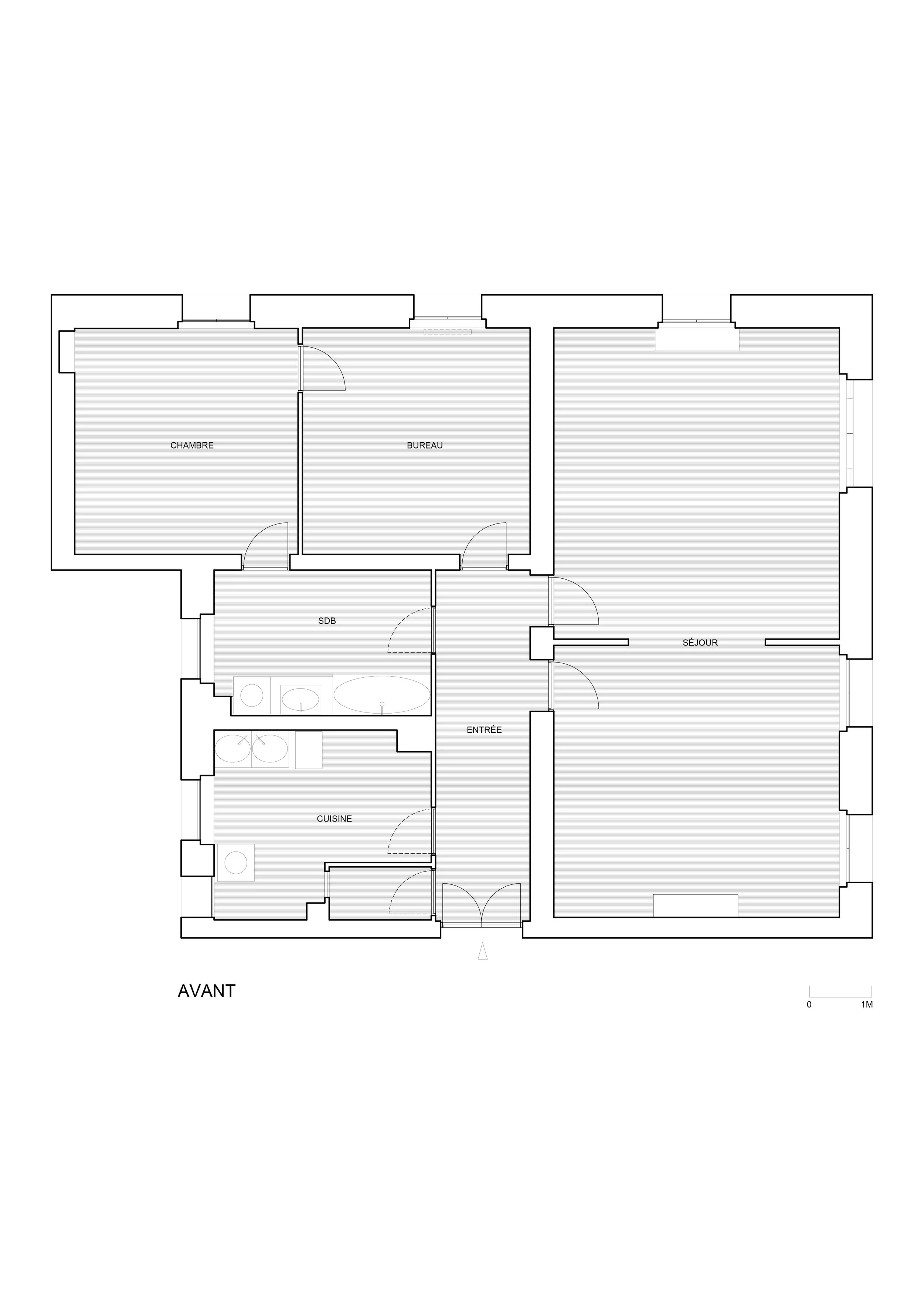 CAMILLEFLAMMARION-AVANT APRES-CHARENTON .jpg