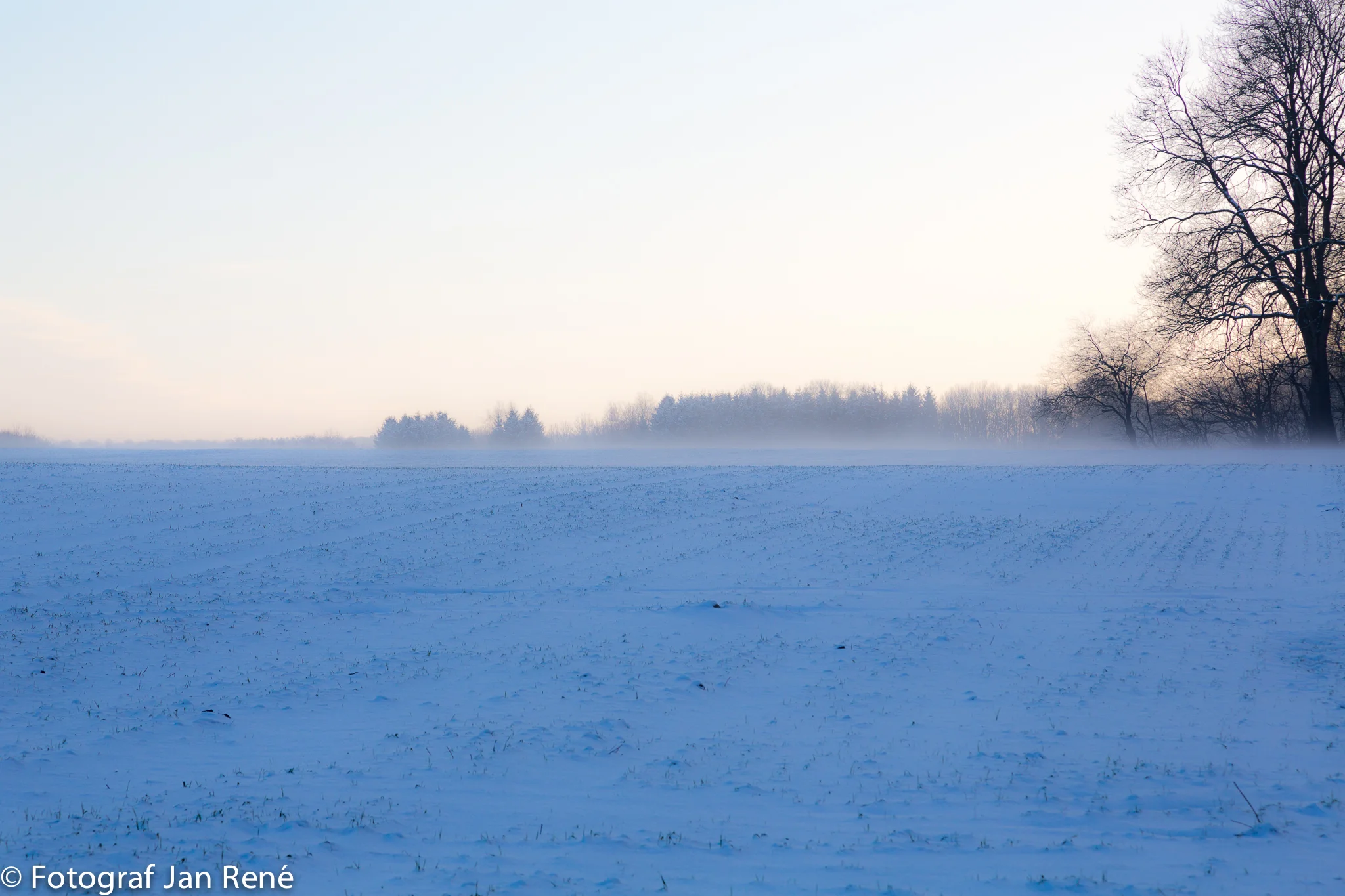 _B8A3579.jpg