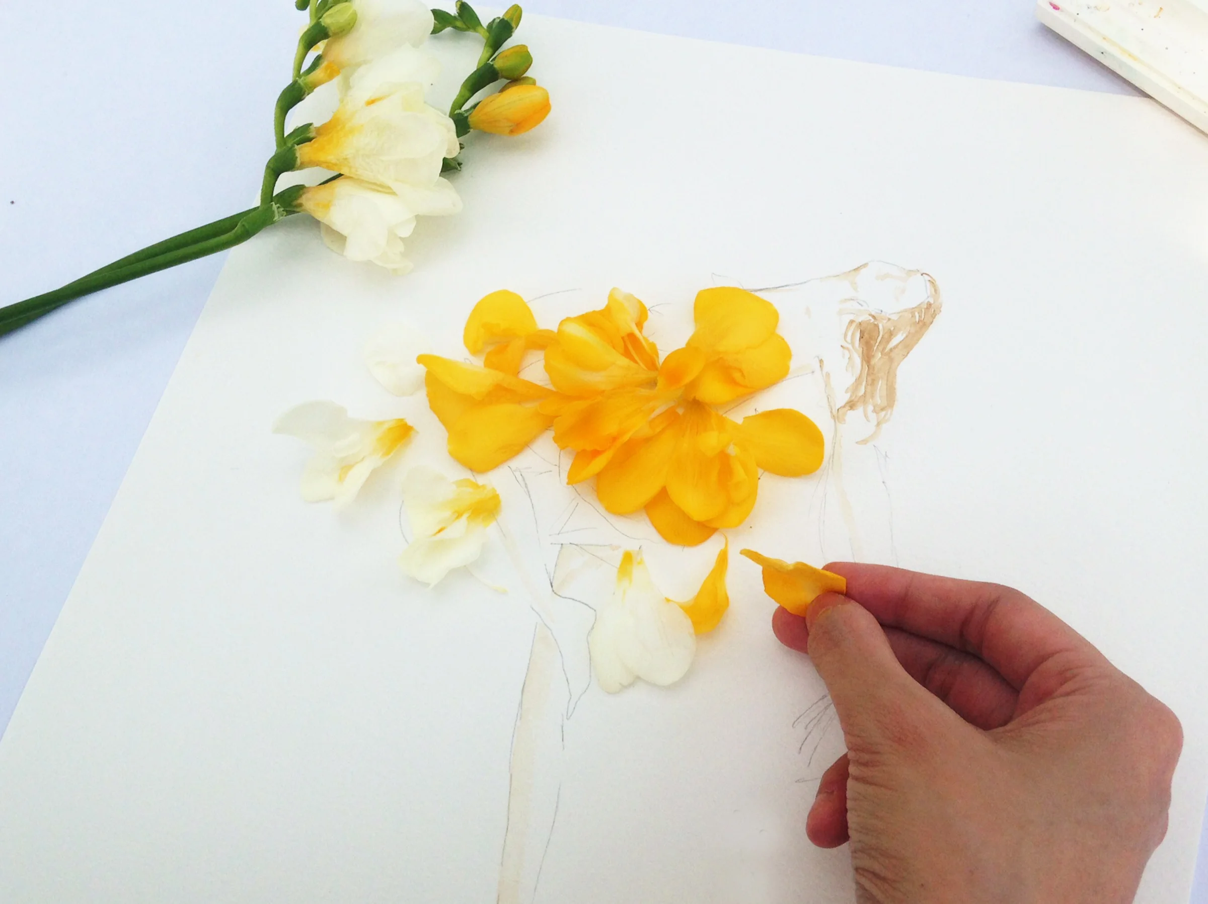 Grace-Ciao-Fashion-Illustrator-Chloe-Love-Story-Saks-Glam-Gardens.jpg