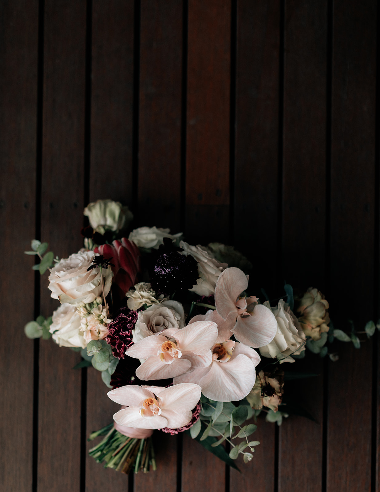 Karis and Oli_Sydney Wedding_Bradleys Head_Holly Medway Photography-24.jpg