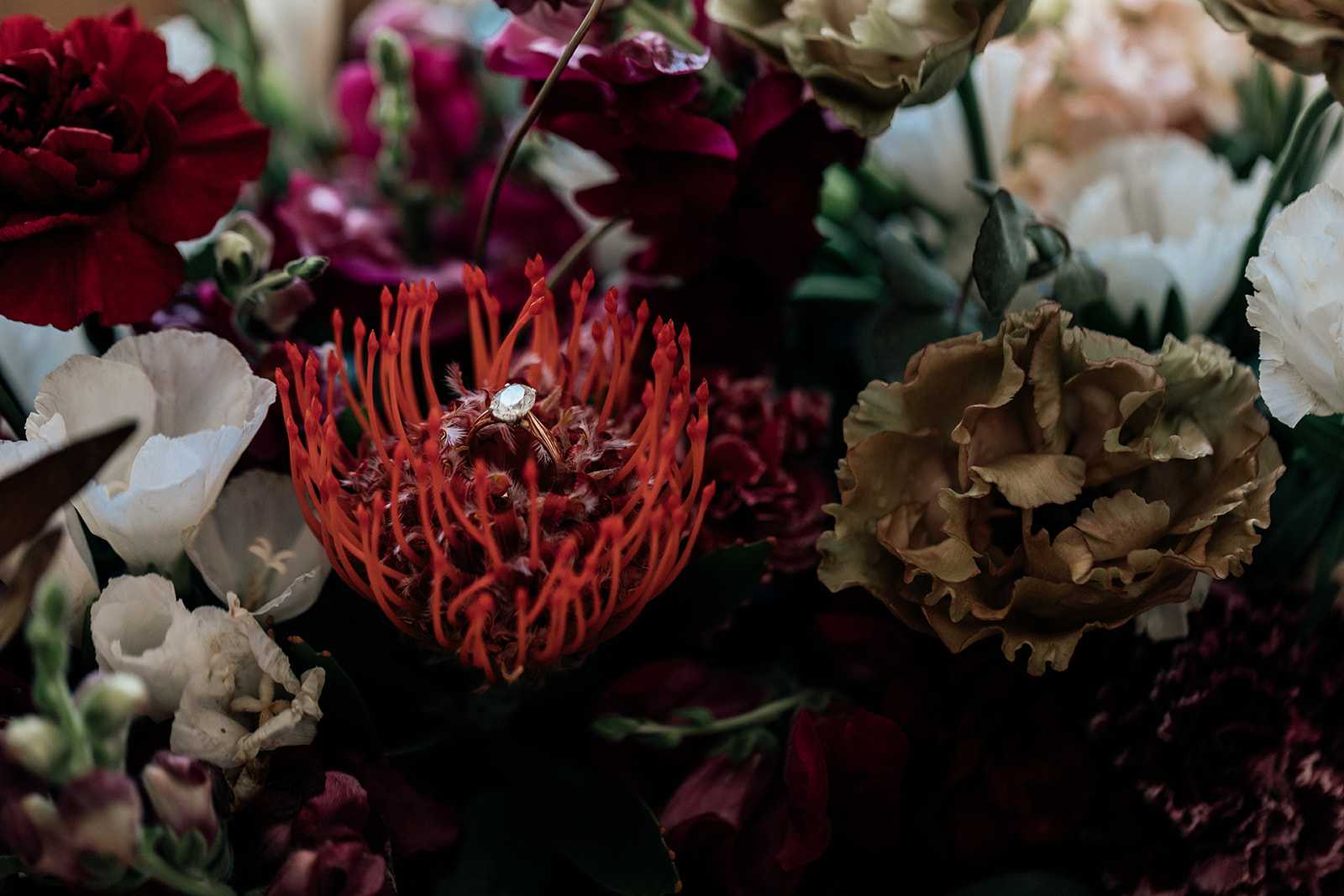 Karis and Oli_Sydney Wedding_Bradleys Head_Holly Medway Photography-45.jpg