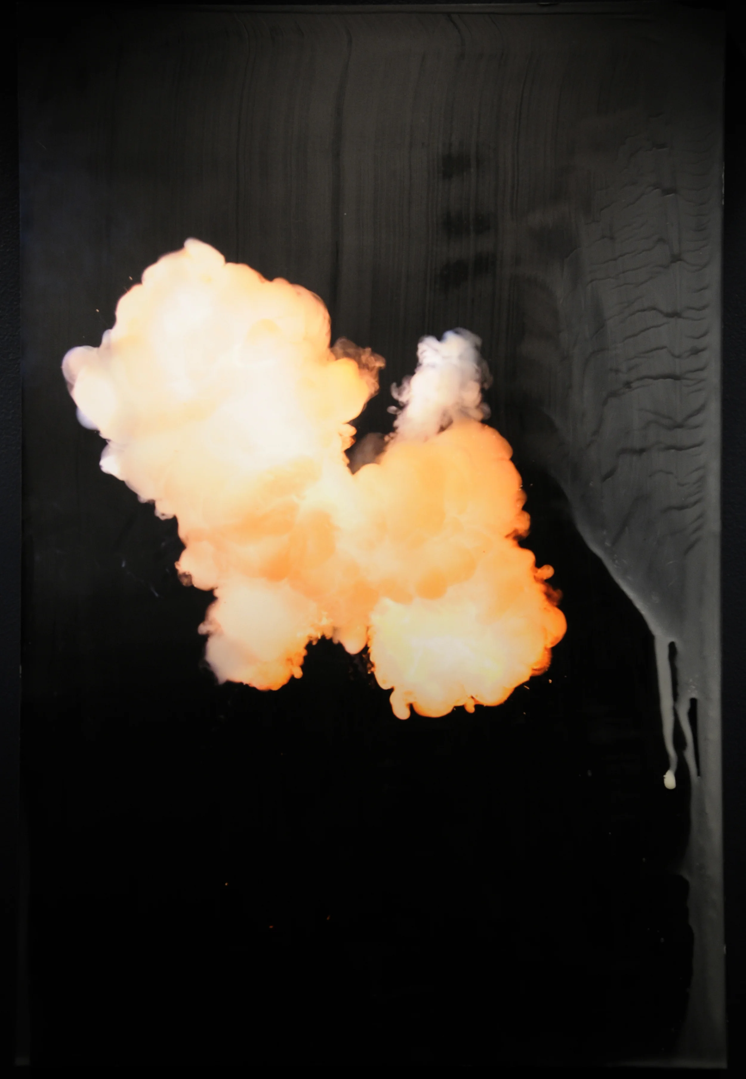 Source 8, 2011