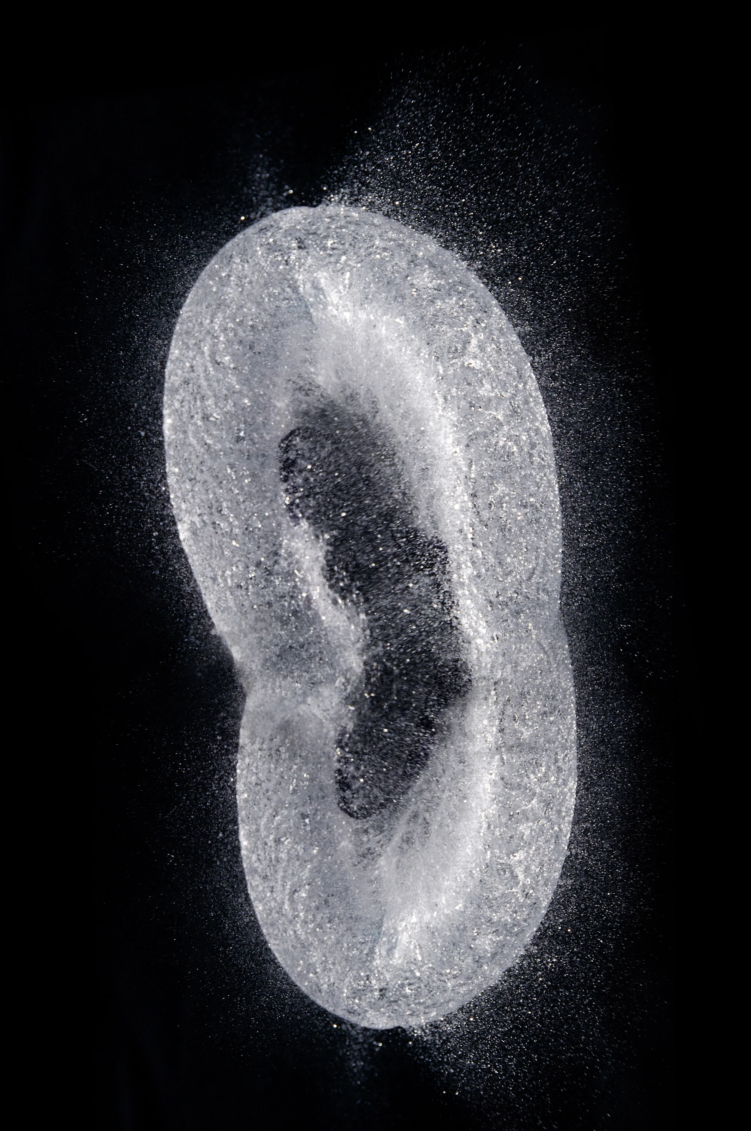 Evolving Moisture