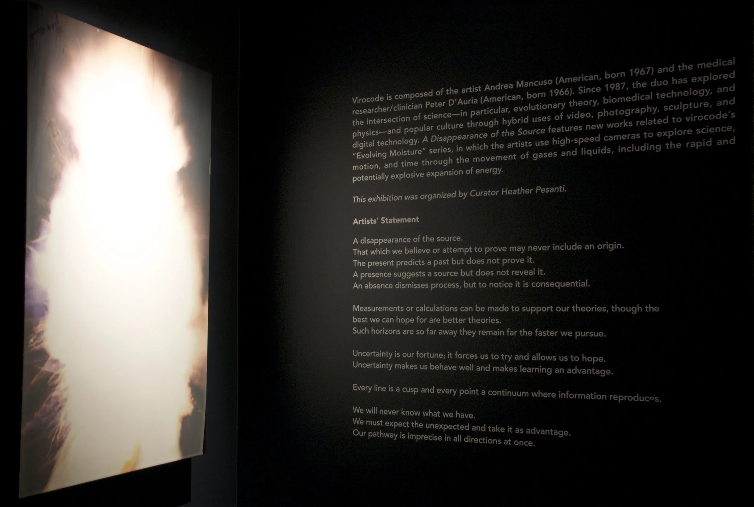 Installation view
