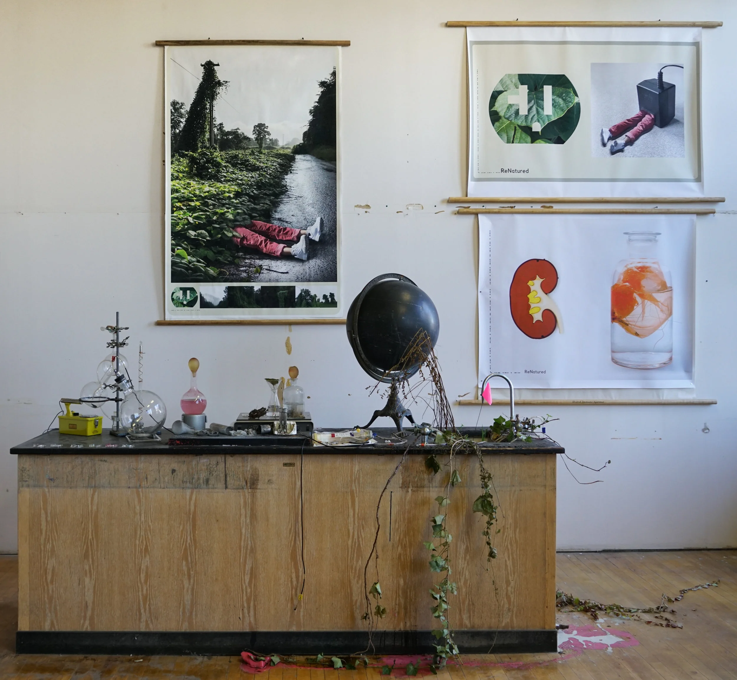 ReNatured Installation view
