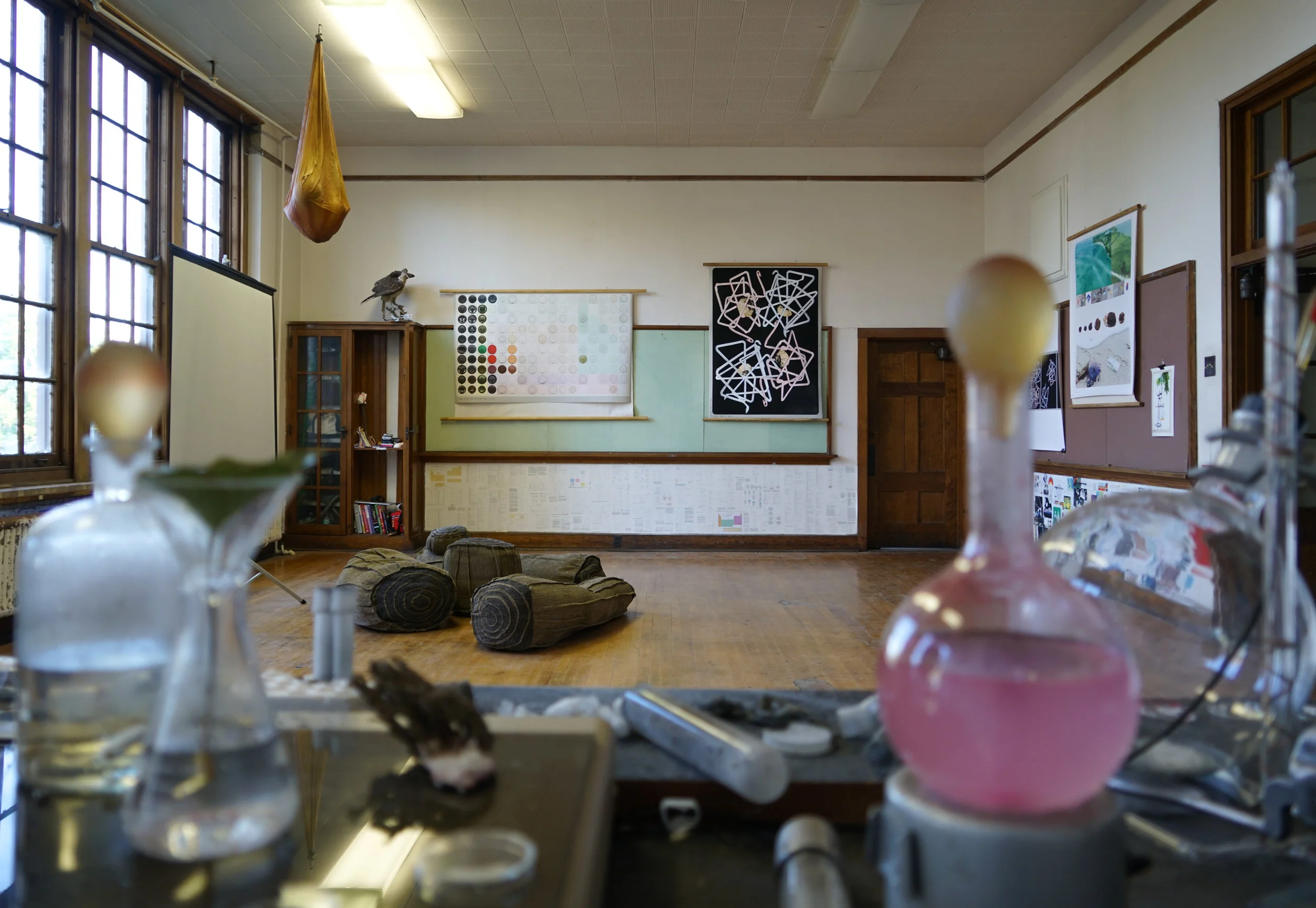 ReNatured Installation View