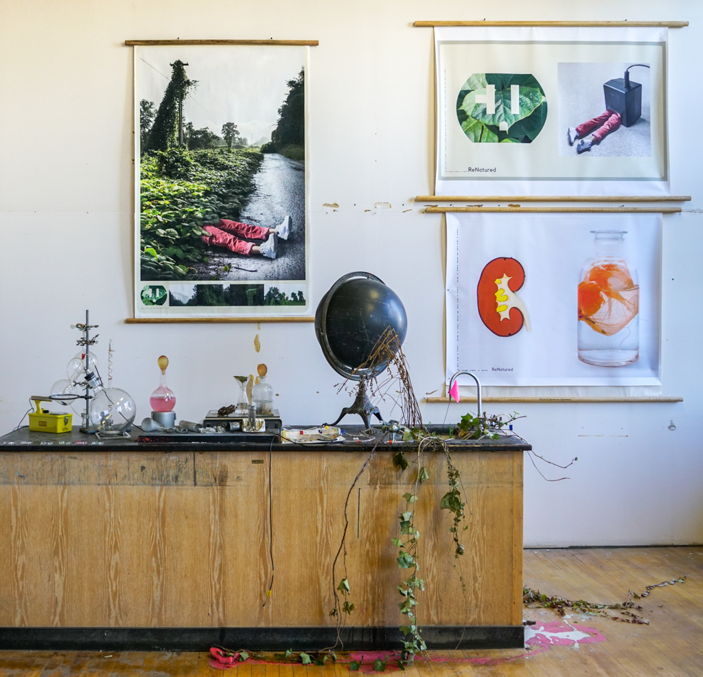 ReNatured installation view
