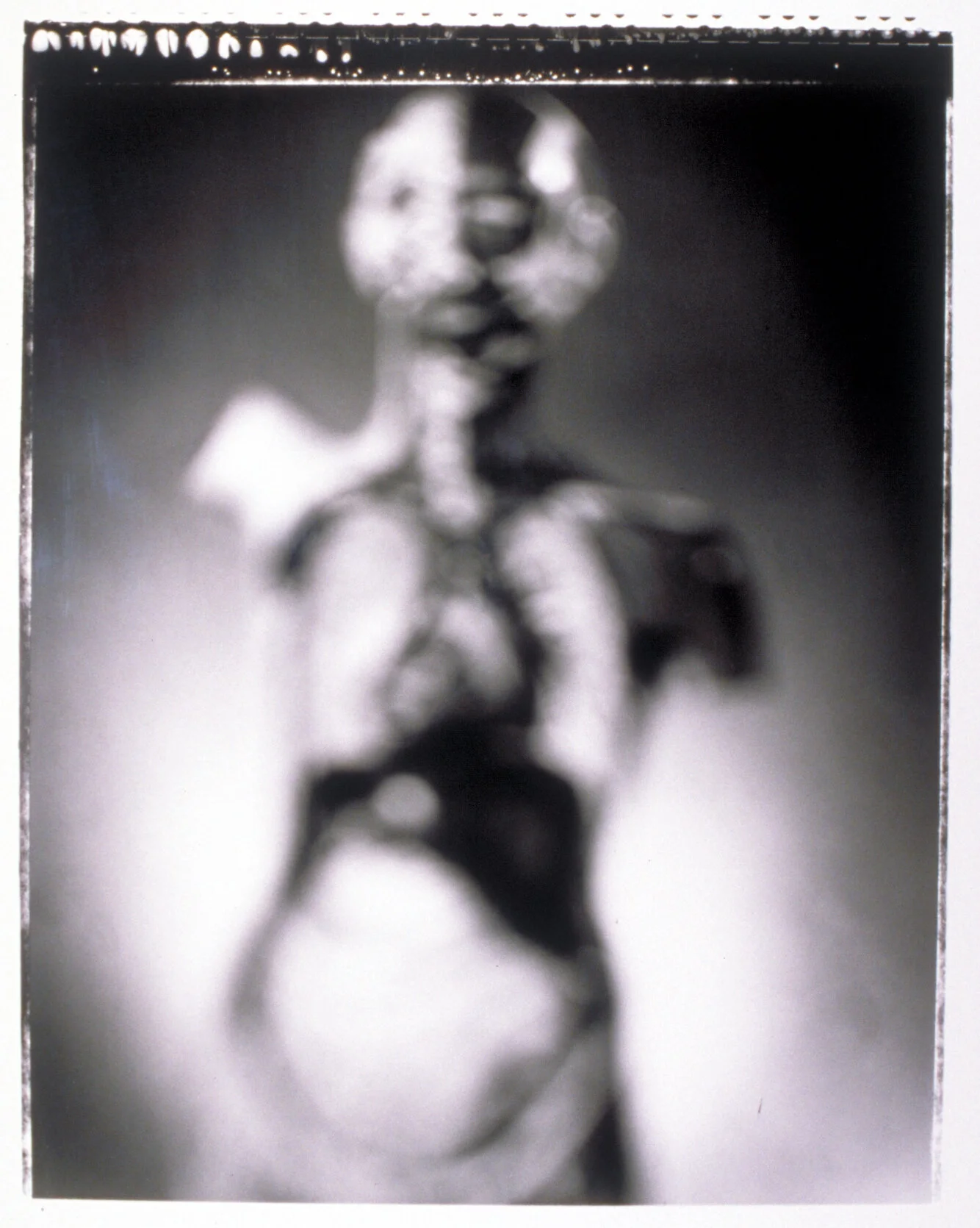 torso.jpg