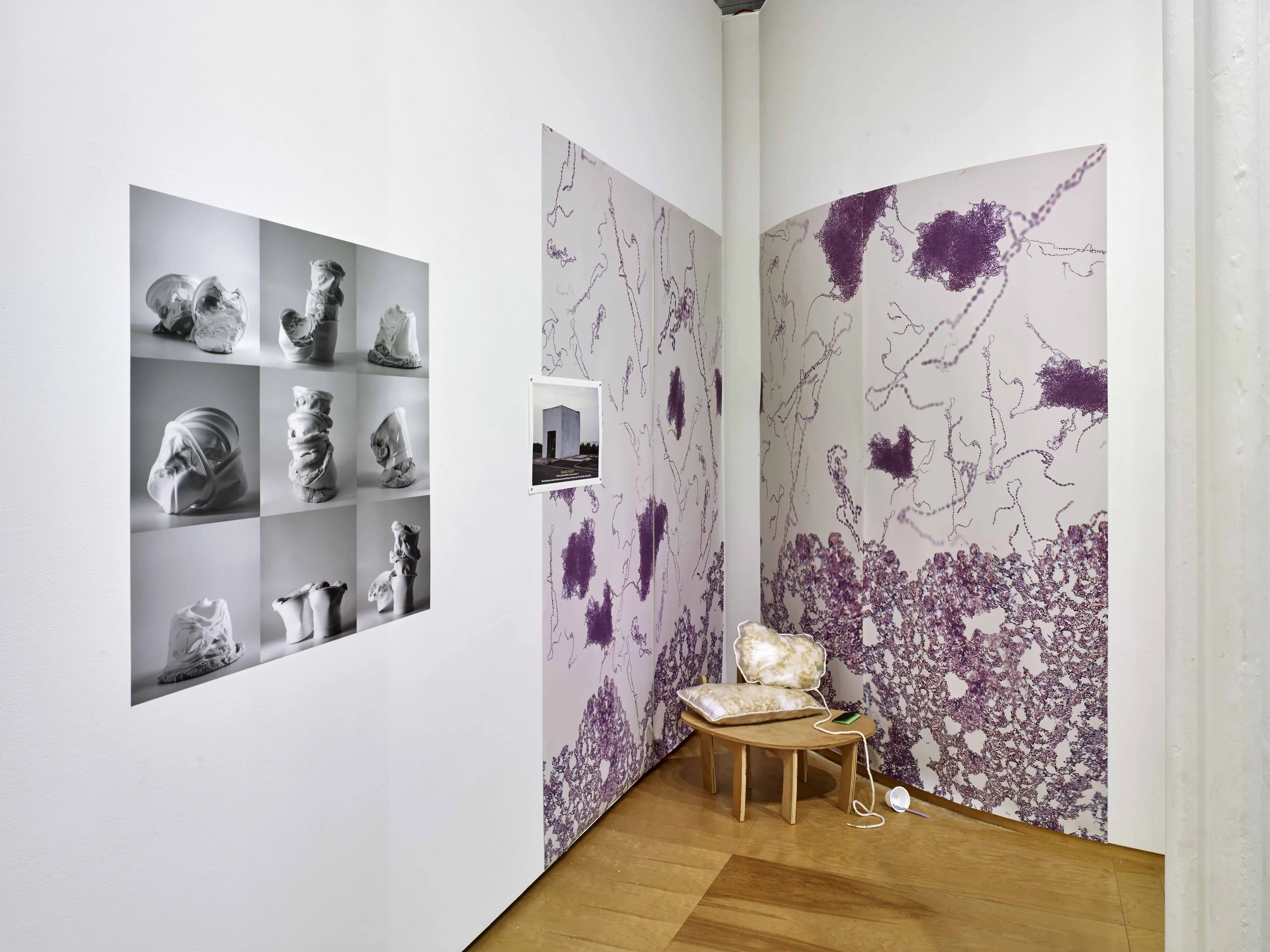 Hallwalls Virocode 9-2350945.jpg