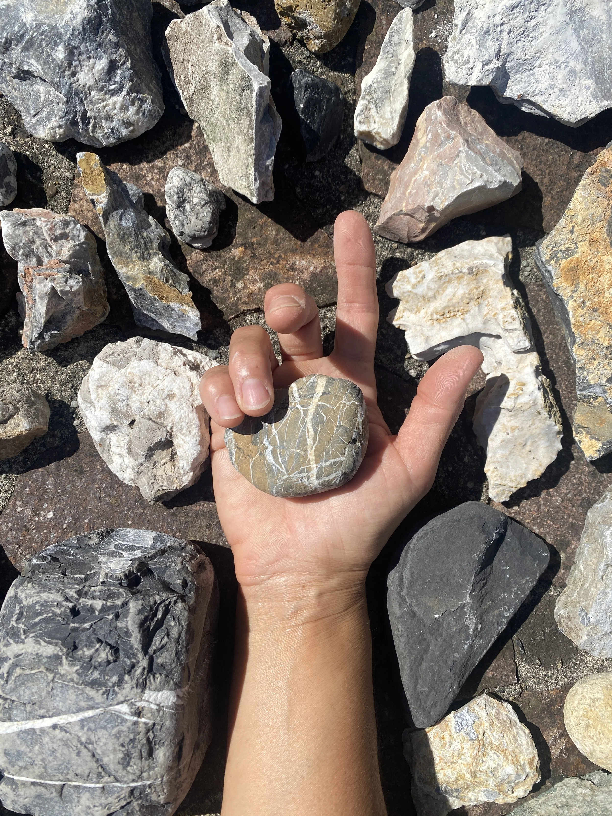 Val Taleggio, Italy, gathering rocks for gum arabic pigment