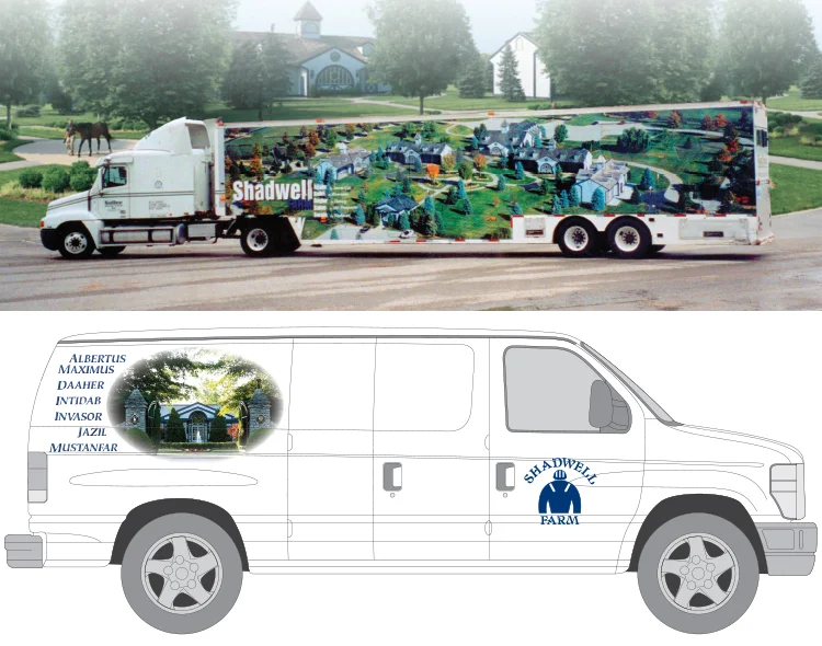 swftrucks1.jpg