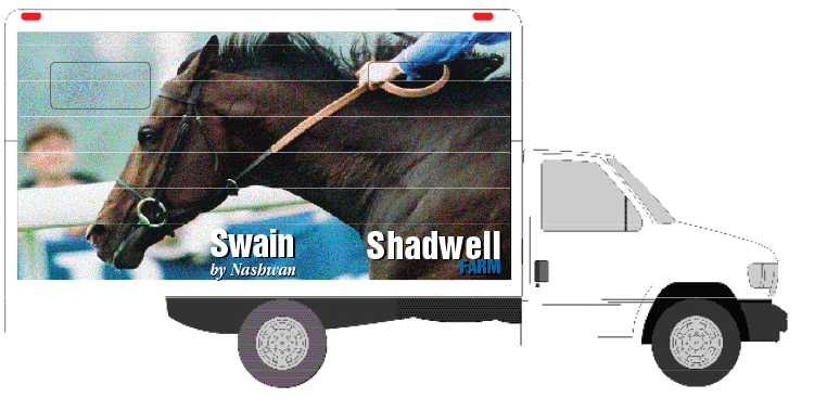 swftrucks3.jpg